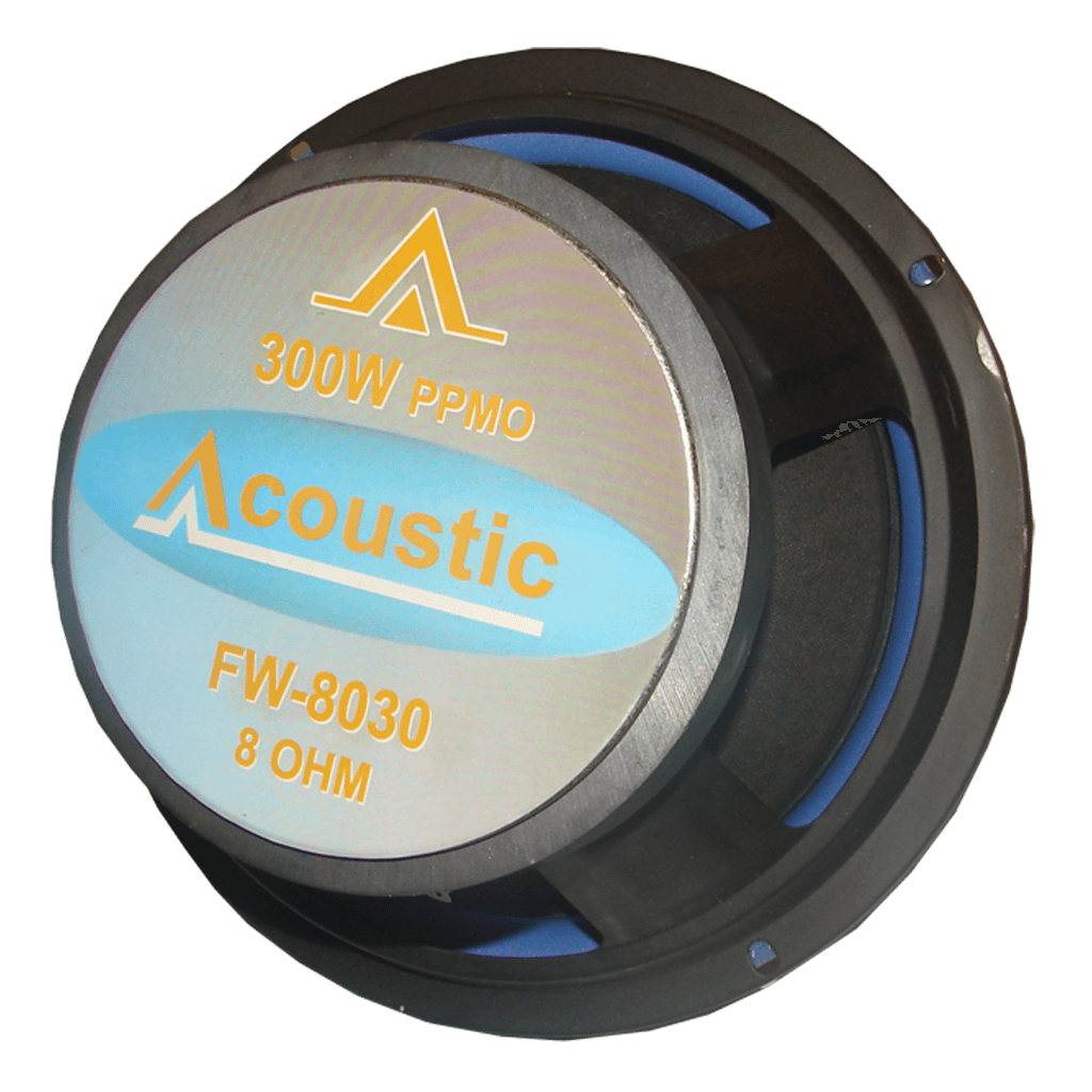 PARL. 8¨ 300W 30ONZ ACOUSTIC