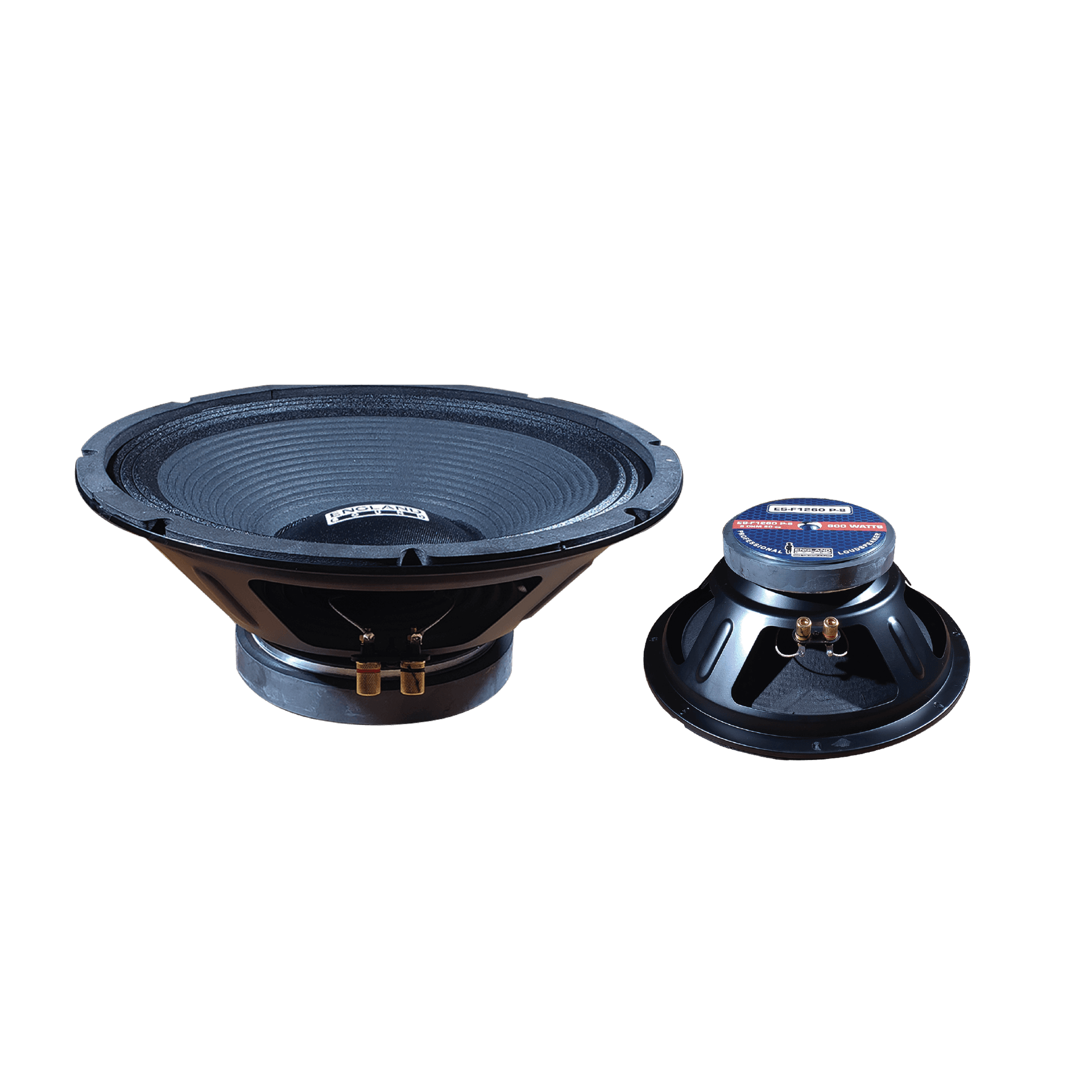 PARLANTE, 12 PULG., 600 WATTS, 8 OHM, 96DB