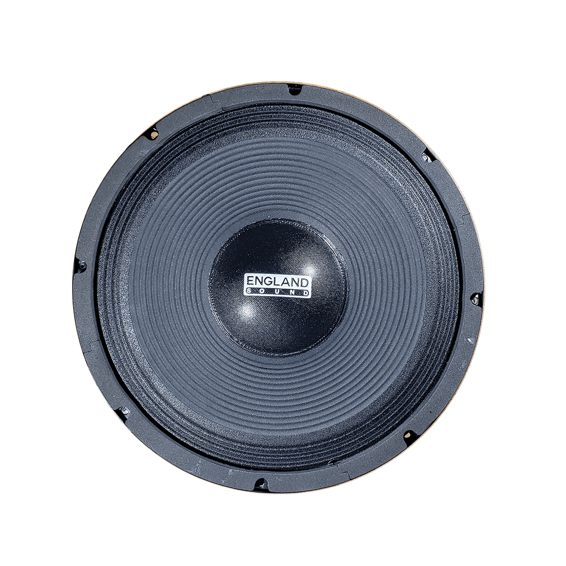 PARLANTE, 12 PULG., 600 WATTS, 8 OHM, 96DB - Miniatura 2