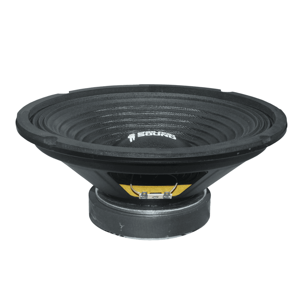 PARLANTE, 10 PULG., 300 WATTS, 8 OHM, 90DB
