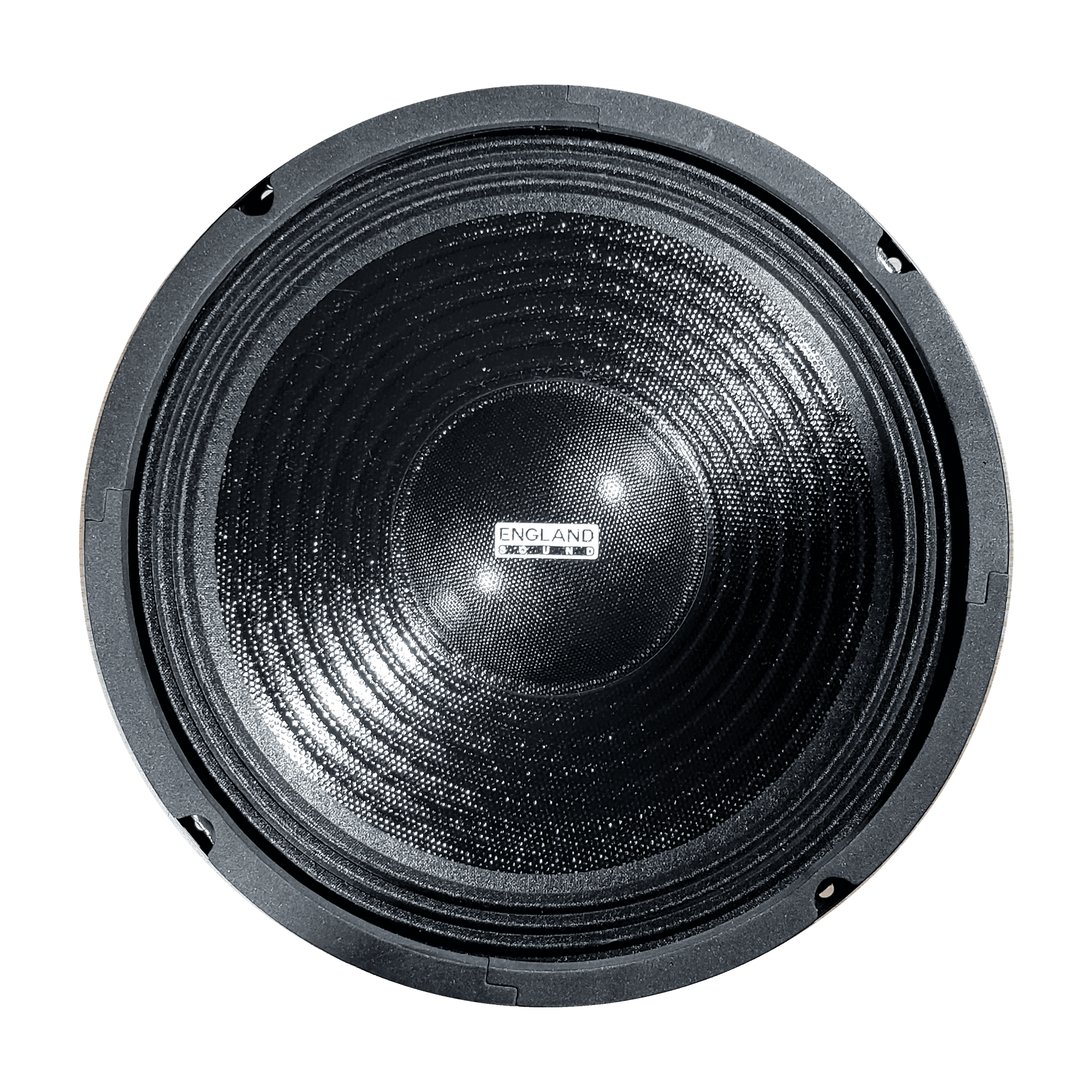 PARLANTE, 10 PULG., 300 WATTS, 8 OHM, 90DB - Miniatura 2