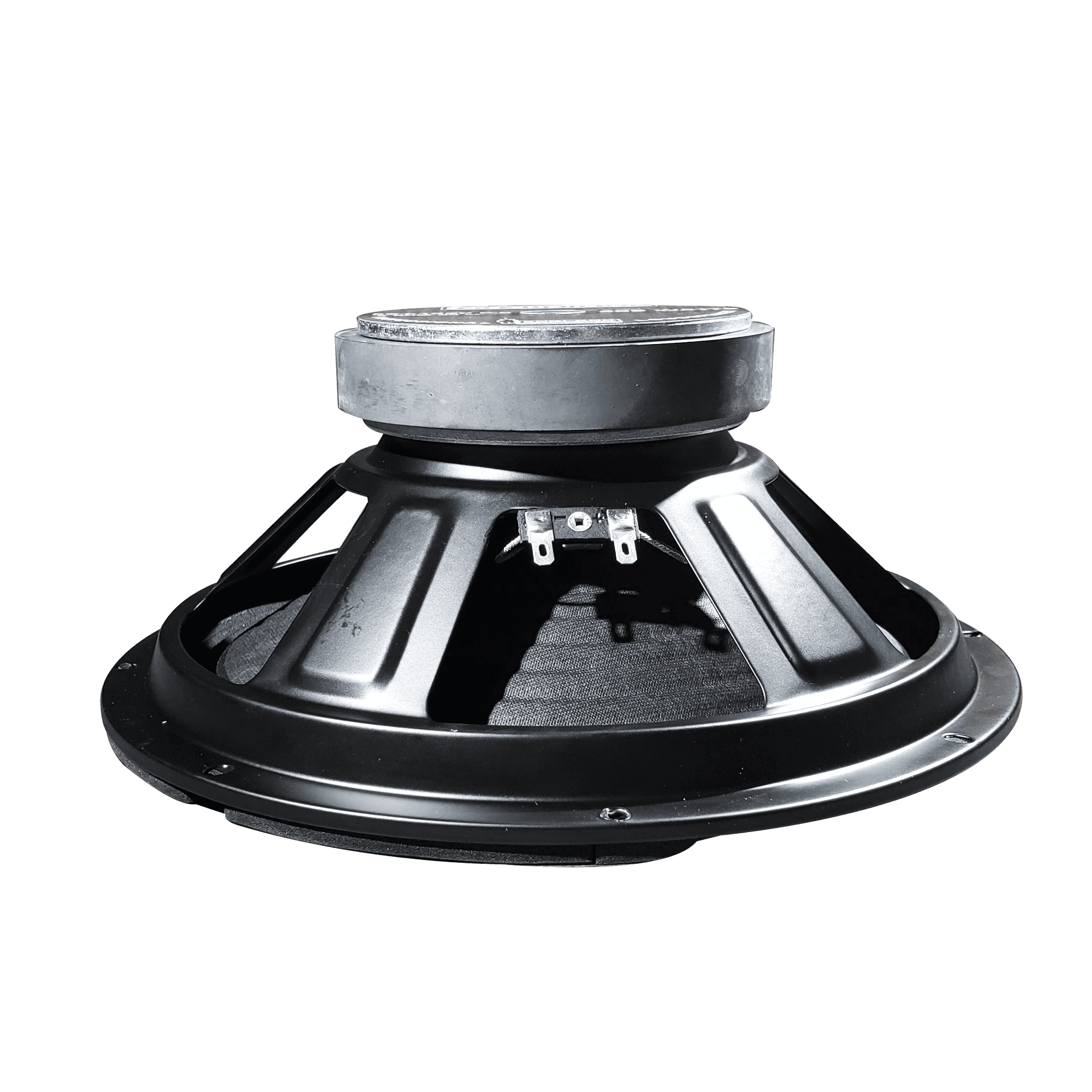 PARLANTE, 10 PULG., 300 WATTS, 8 OHM, 90DB - Miniatura 4