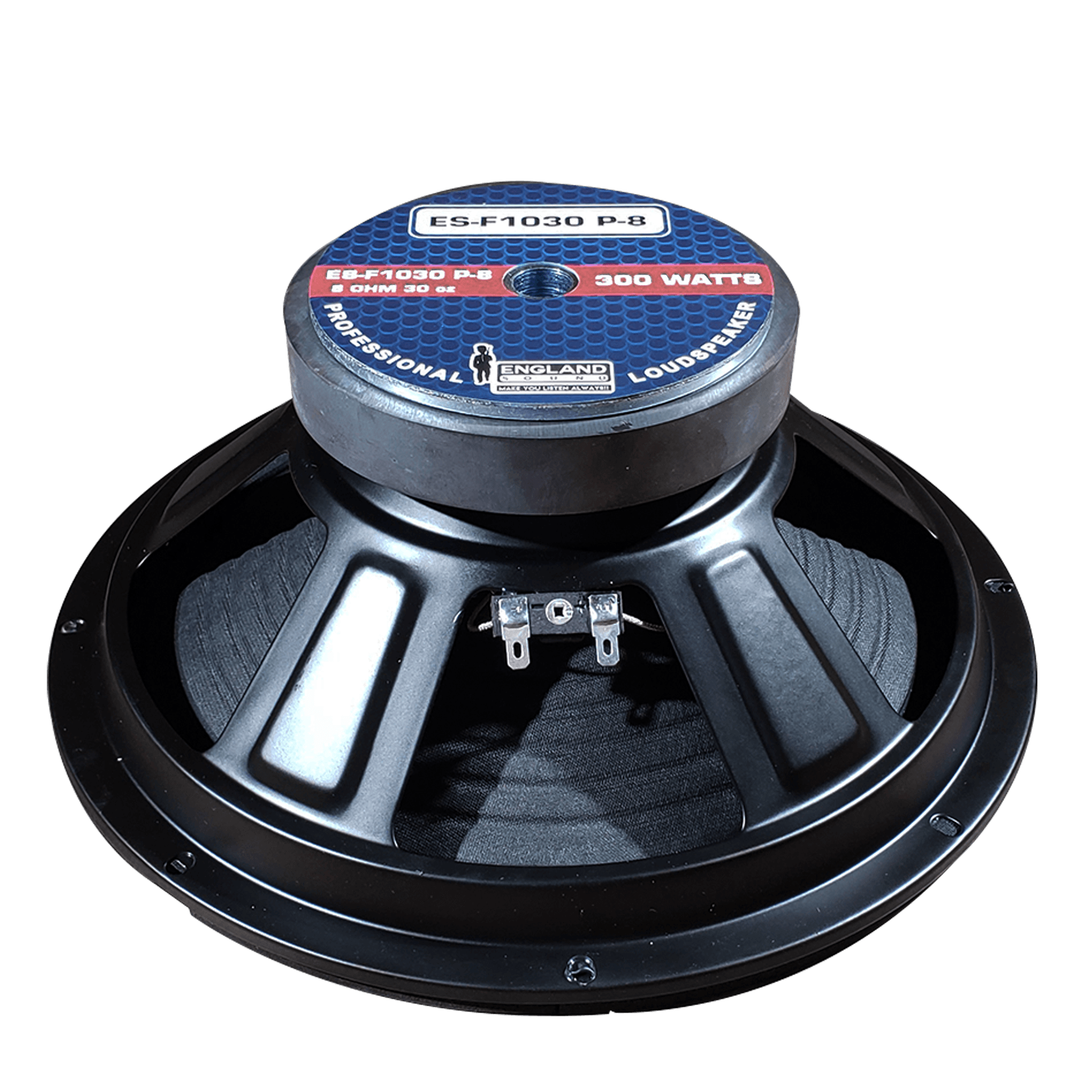 PARLANTE, 10 PULG., 300 WATTS, 8 OHM, 90DB - Miniatura 5