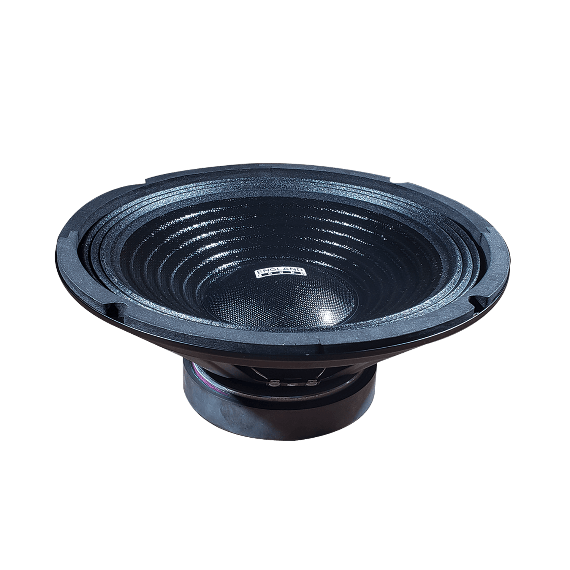 PARLANTE, 10 PULG., 300 WATTS, 8 OHM, 90DB - Miniatura 6