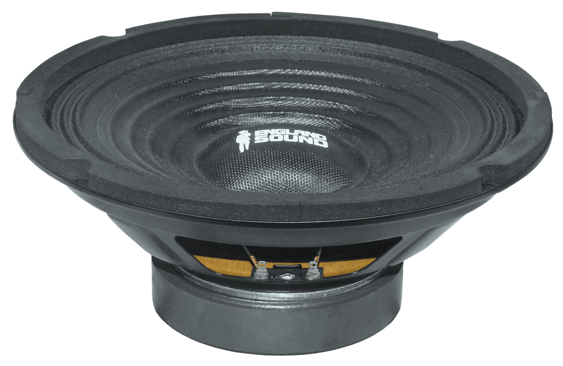 PARLANTE, 8 PULG., 200 WATTS, 8 OHM, 88DB - Miniatura 2