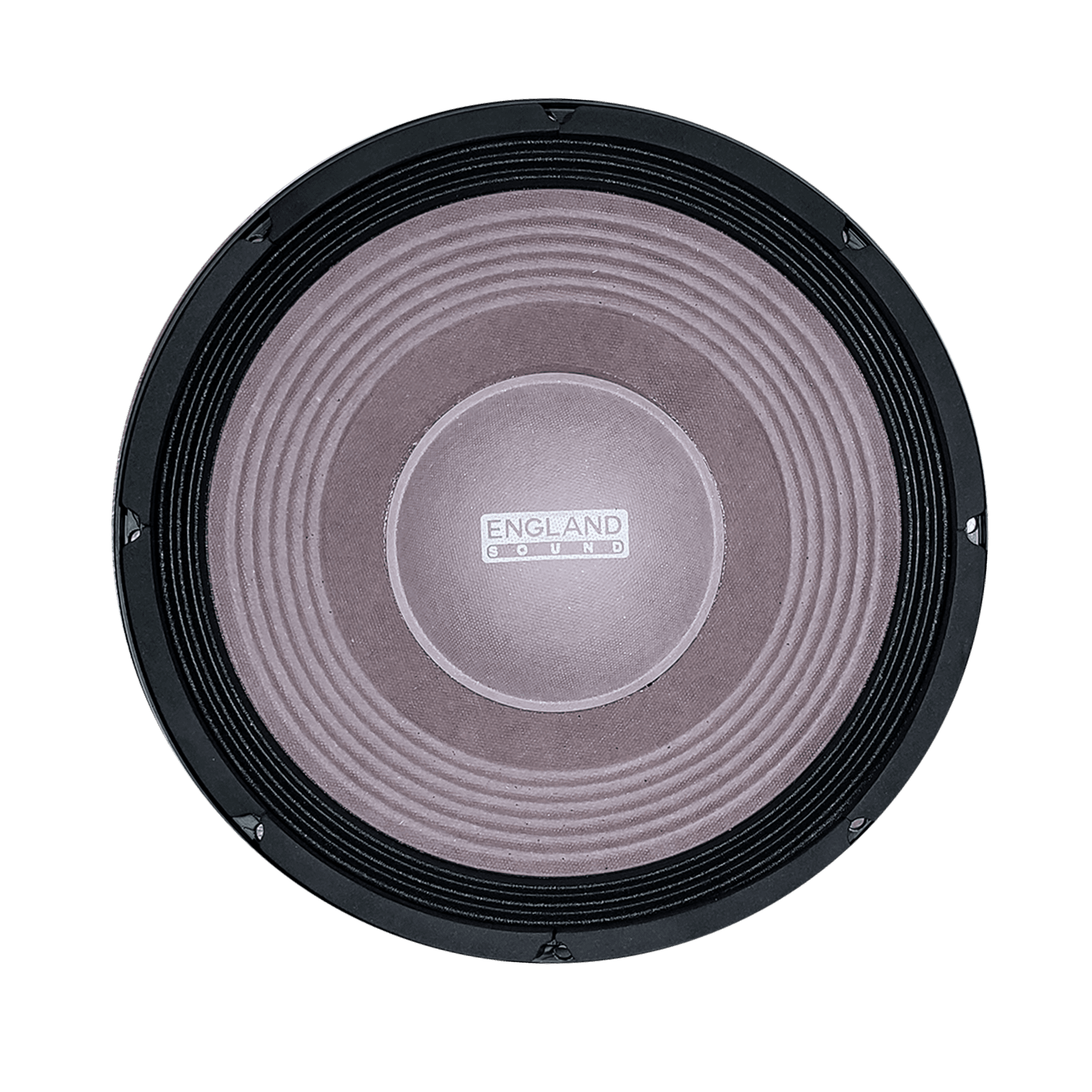 PARLANTE, 12 PULG., 1000 WATTS, 8 OHM, 100DB - Miniatura 2