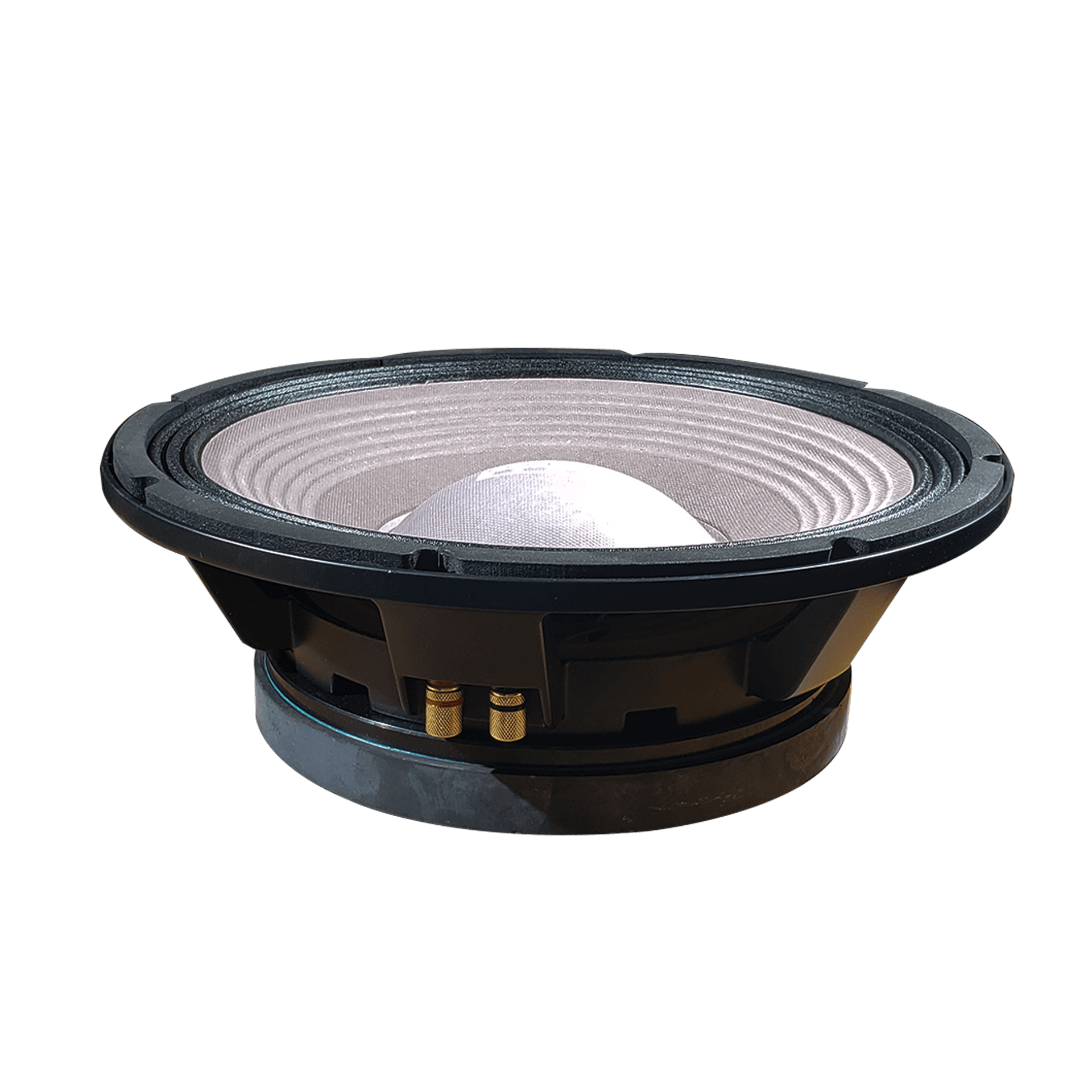 PARLANTE, 12 PULG., 1000 WATTS, 8 OHM, 100DB - Miniatura 5