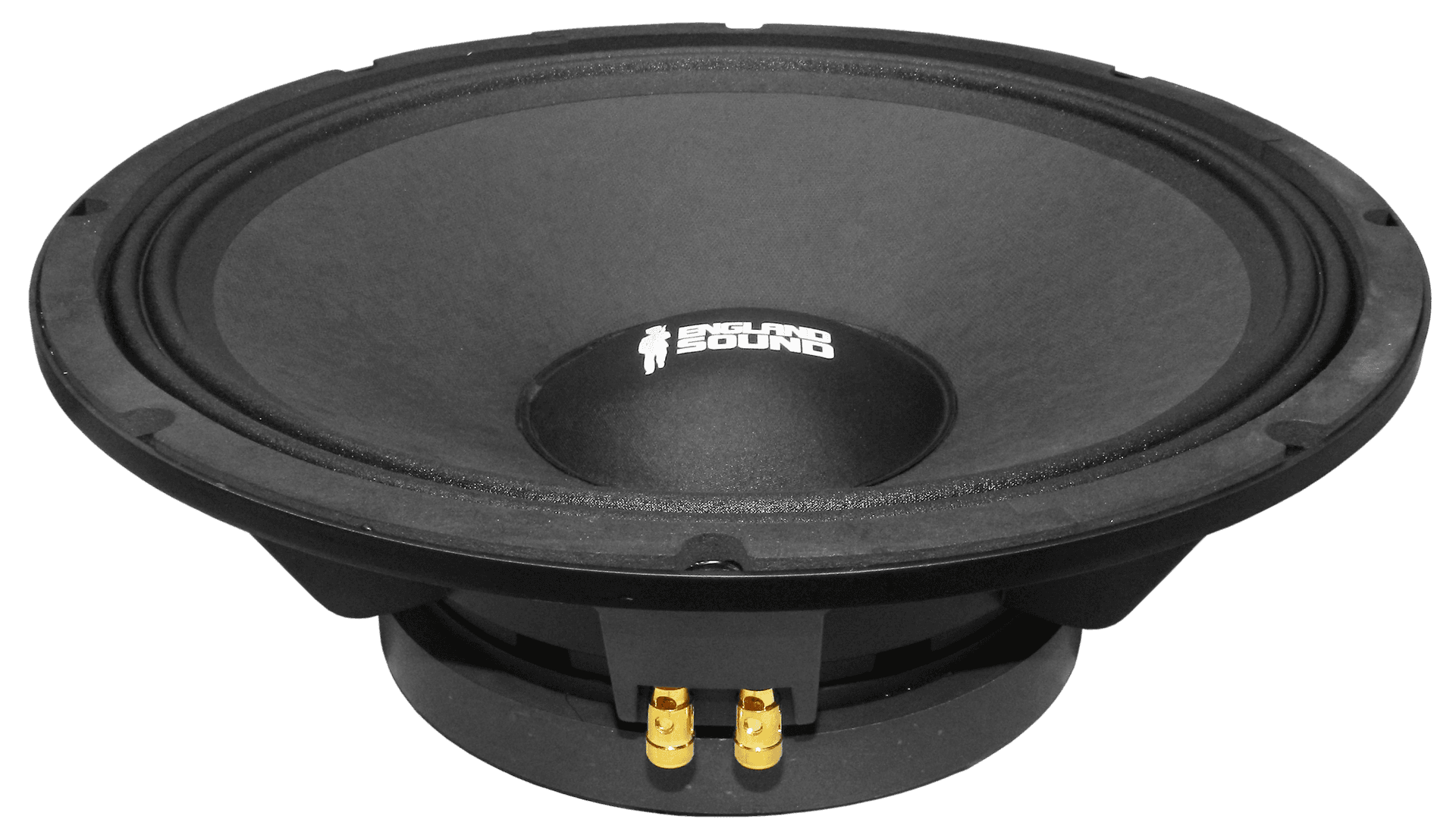 PARLANTE, 15 PULG., 1000 WATTS, 8 OHM, 100DB - Miniatura 2