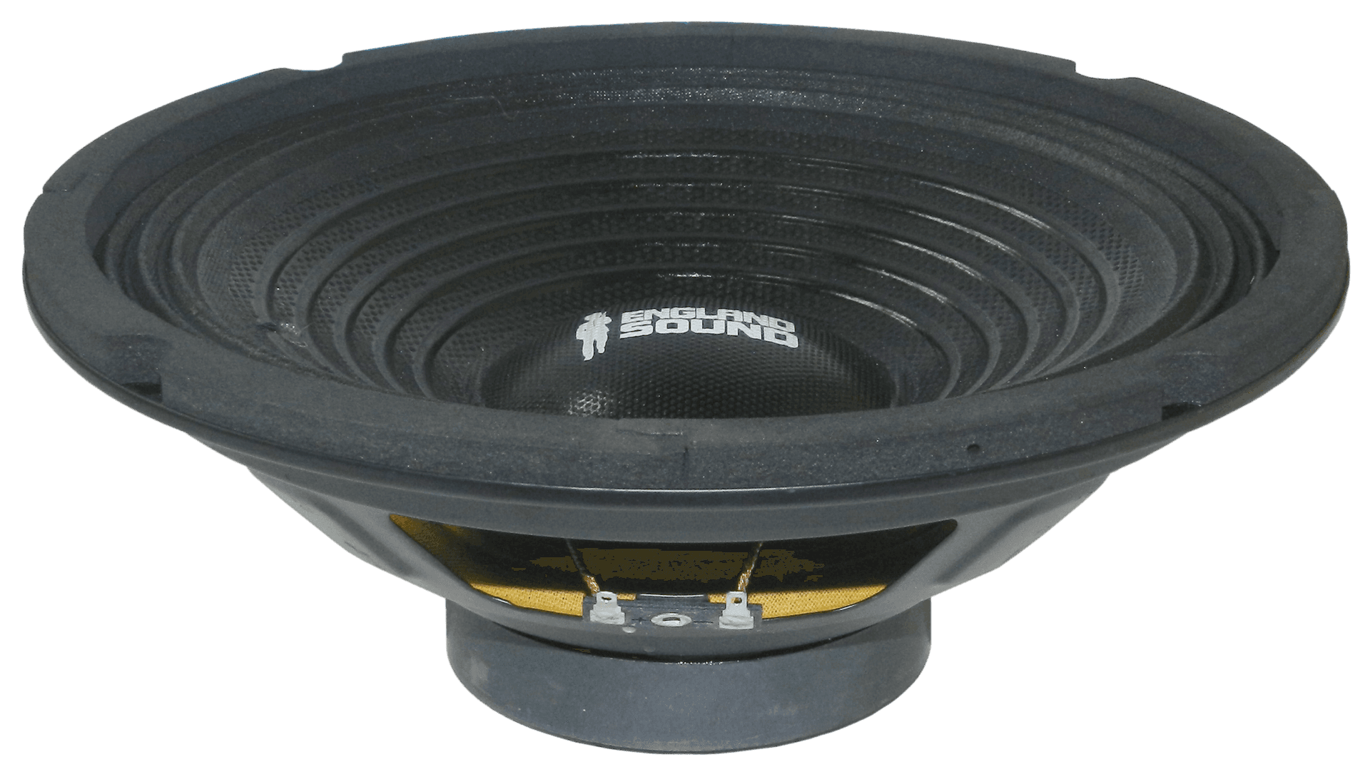 PARLANTE, 8 PULG., 100 WATTS, 8 OHM, 88DB - Miniatura 2