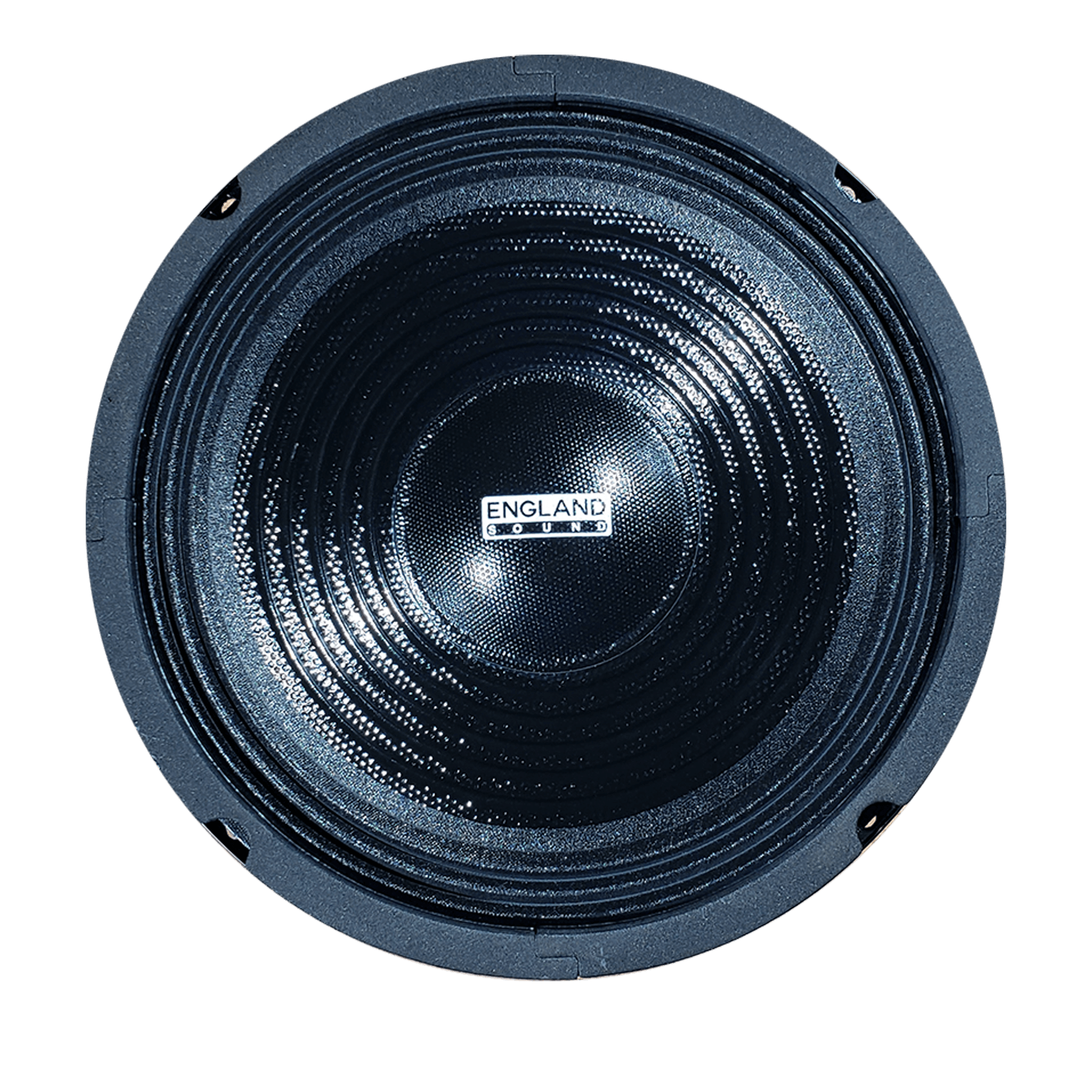 PARLANTE, 8 PULG., 100 WATTS, 8 OHM, 88DB - Miniatura 2