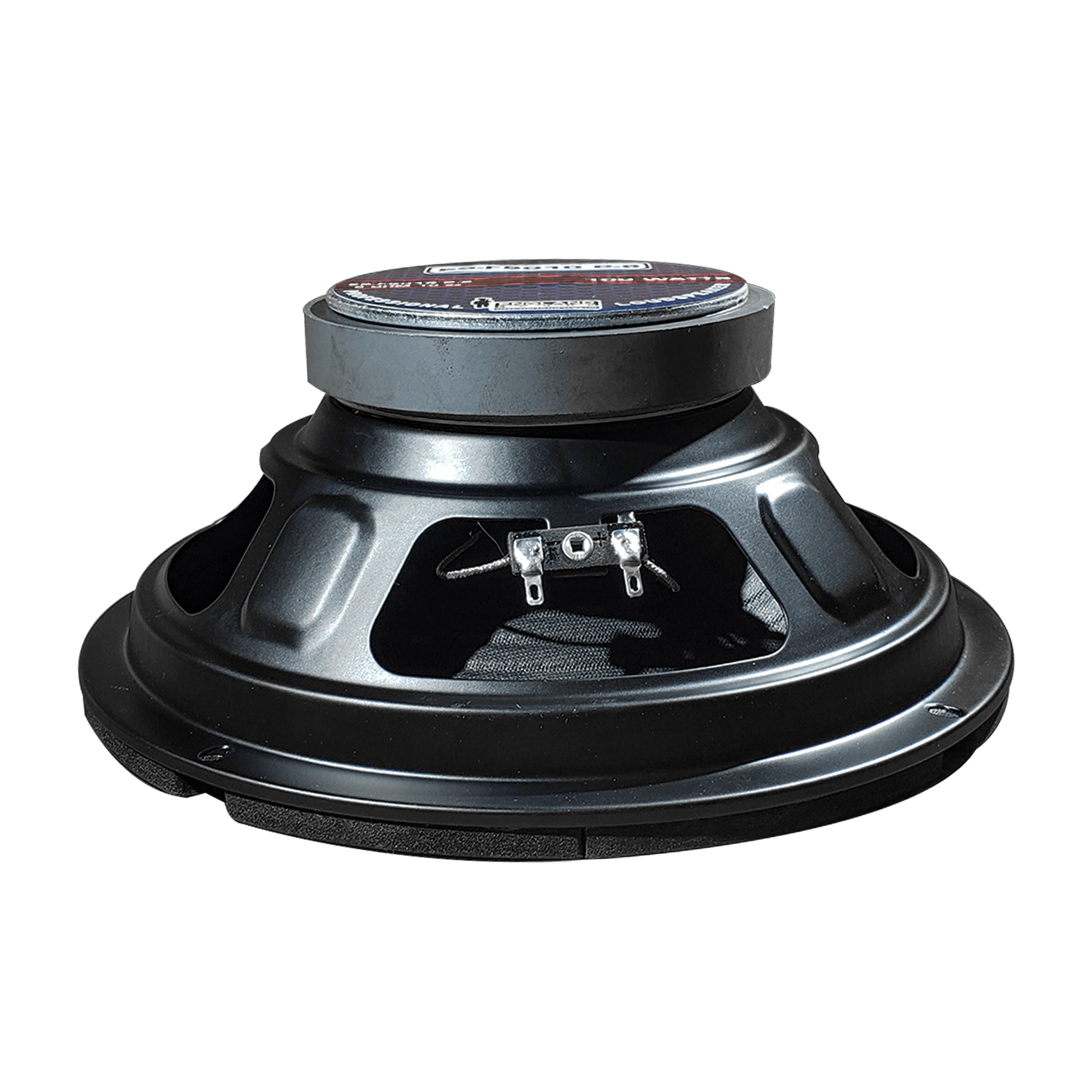 PARLANTE, 8 PULG., 100 WATTS, 8 OHM, 88DB - Miniatura 4