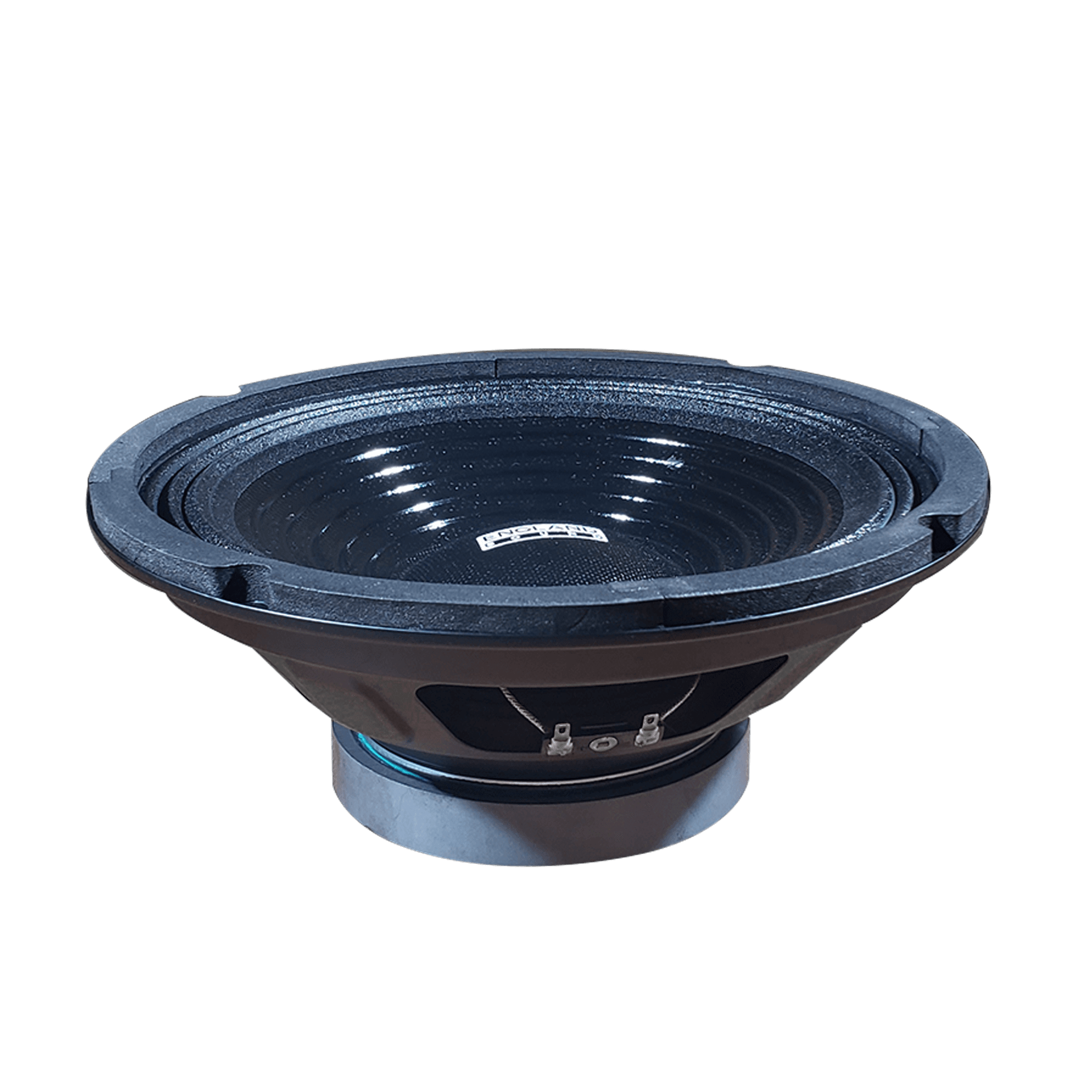 PARLANTE, 8 PULG., 100 WATTS, 8 OHM, 88DB - Miniatura 5