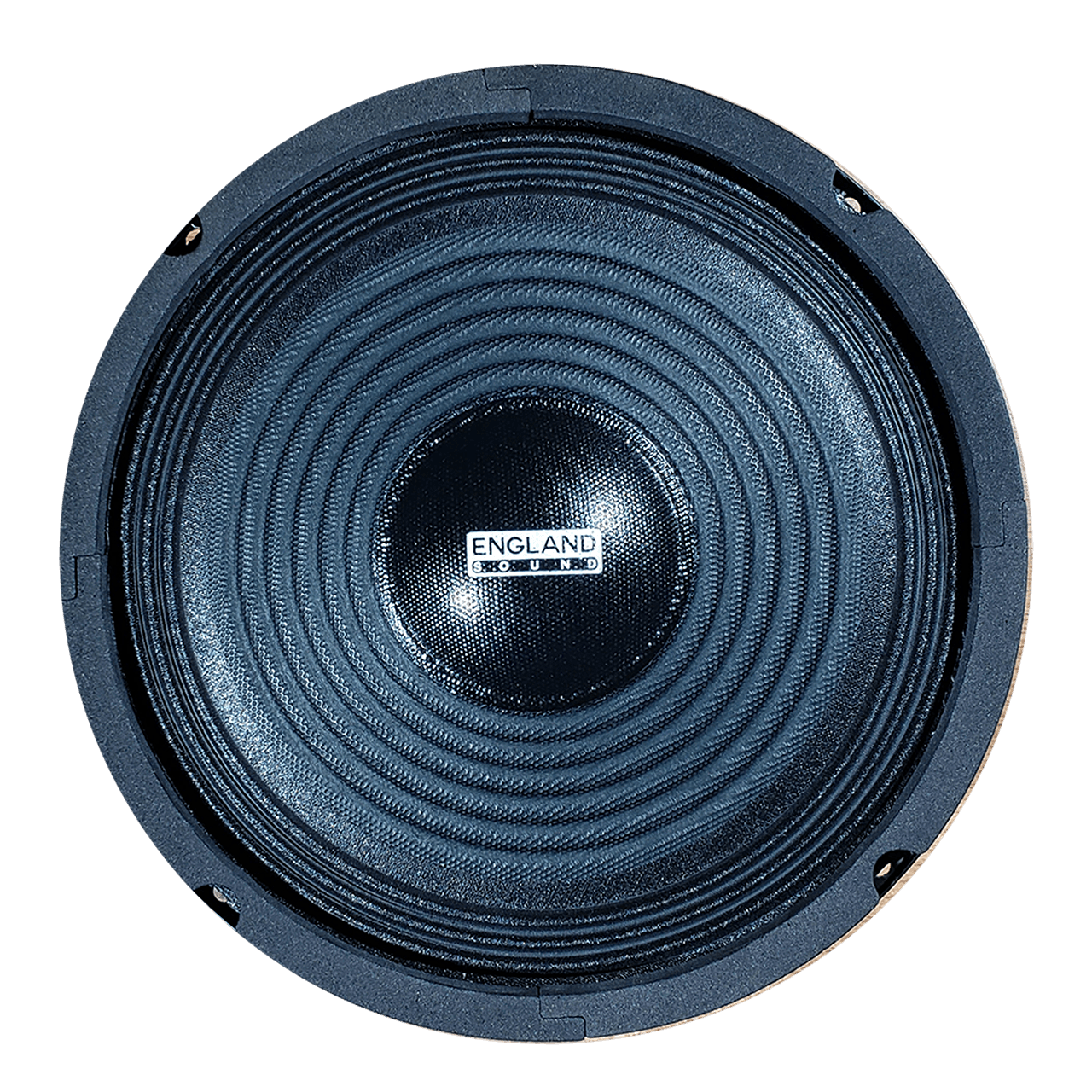 PARLANTE, 8 PULG., 300 WATTS, 4 OHM, 92DB - Miniatura 2