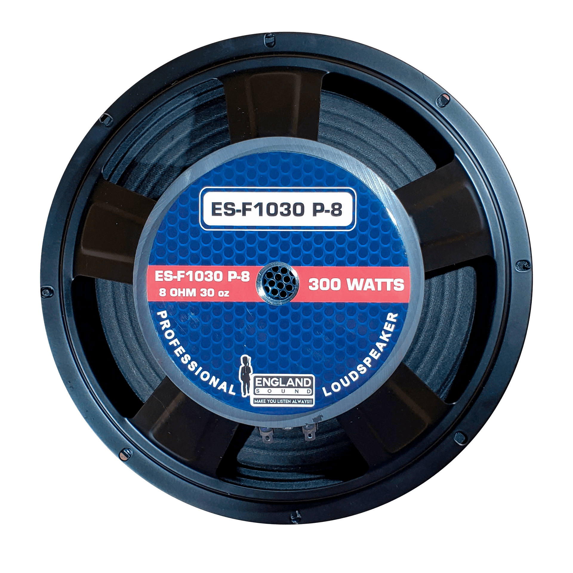 PARLANTE, 10 PULG., 300 WATTS, 8 OHM, 90DB - Miniatura 3