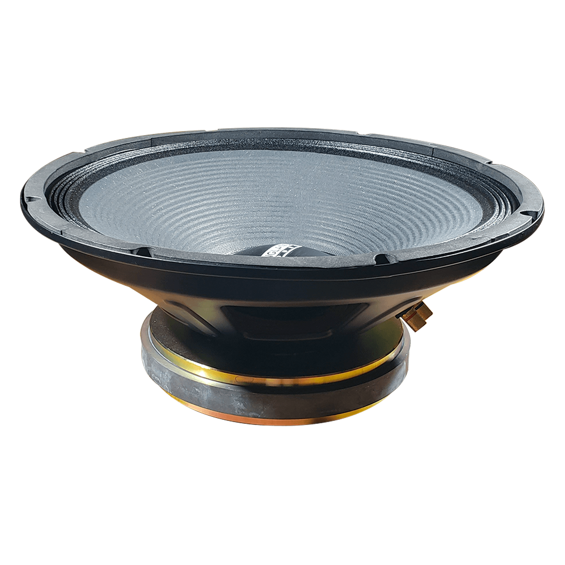 PARLANTE, 15 PULG., 1000 WATTS, 8 OHM, 98DB - Miniatura 5