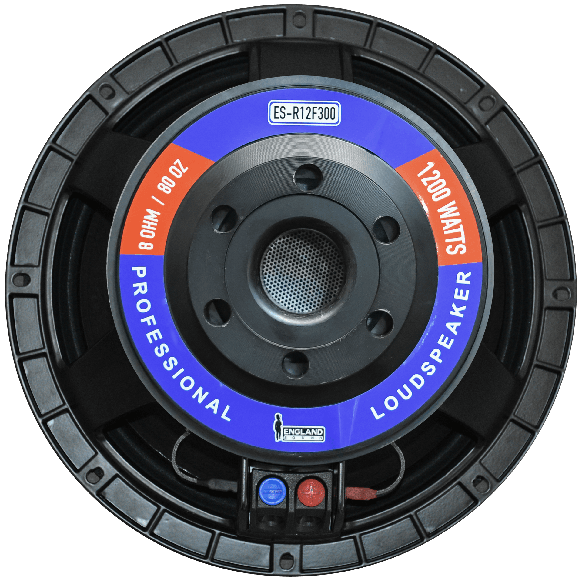 PARLANTE, 12 PULG., 600 WATTS, 8 OHM, 98DB - Miniatura 3