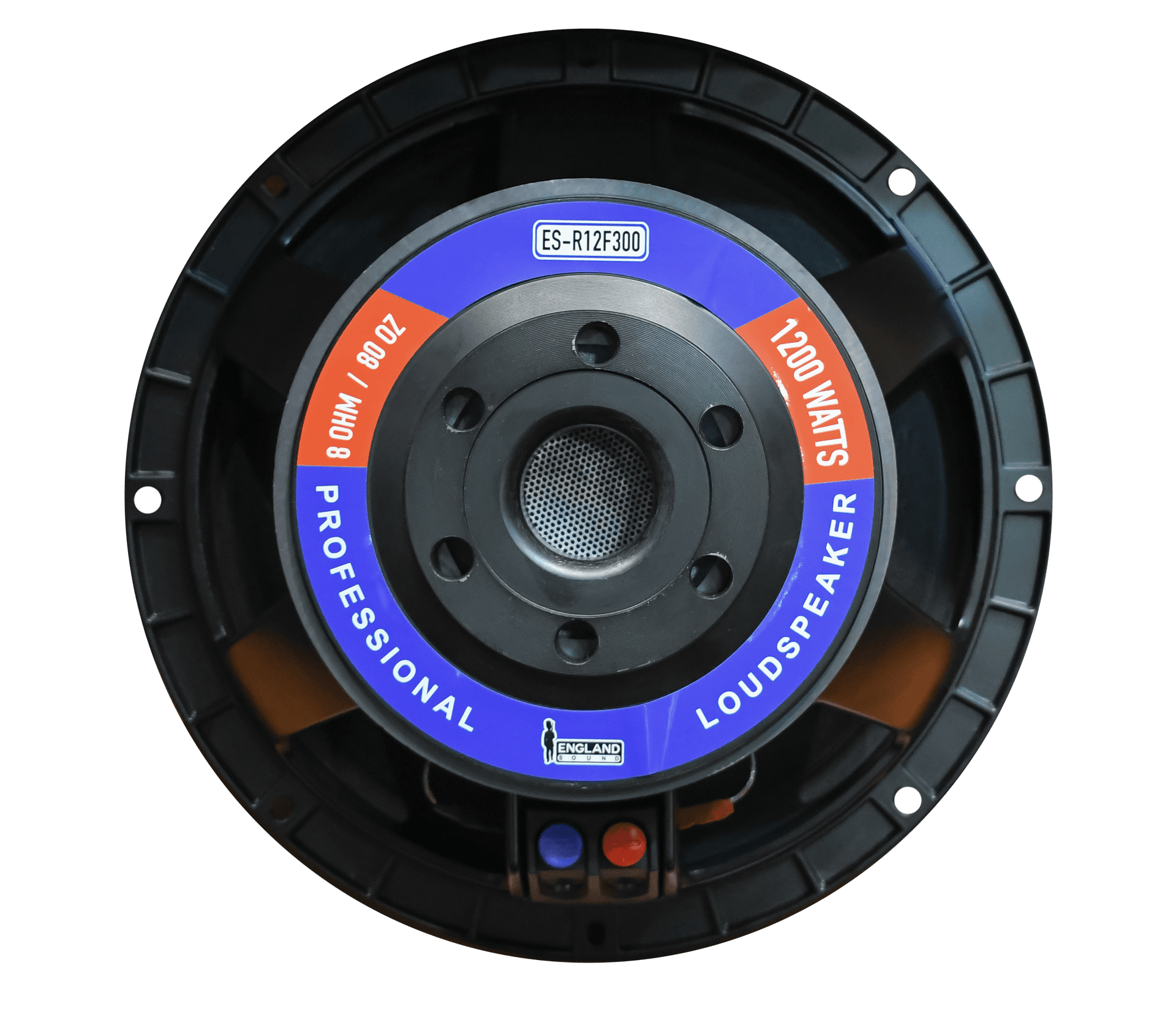 PARLANTE, 12 PULG., 600 WATTS, 8 OHM, 98DB - Miniatura 5