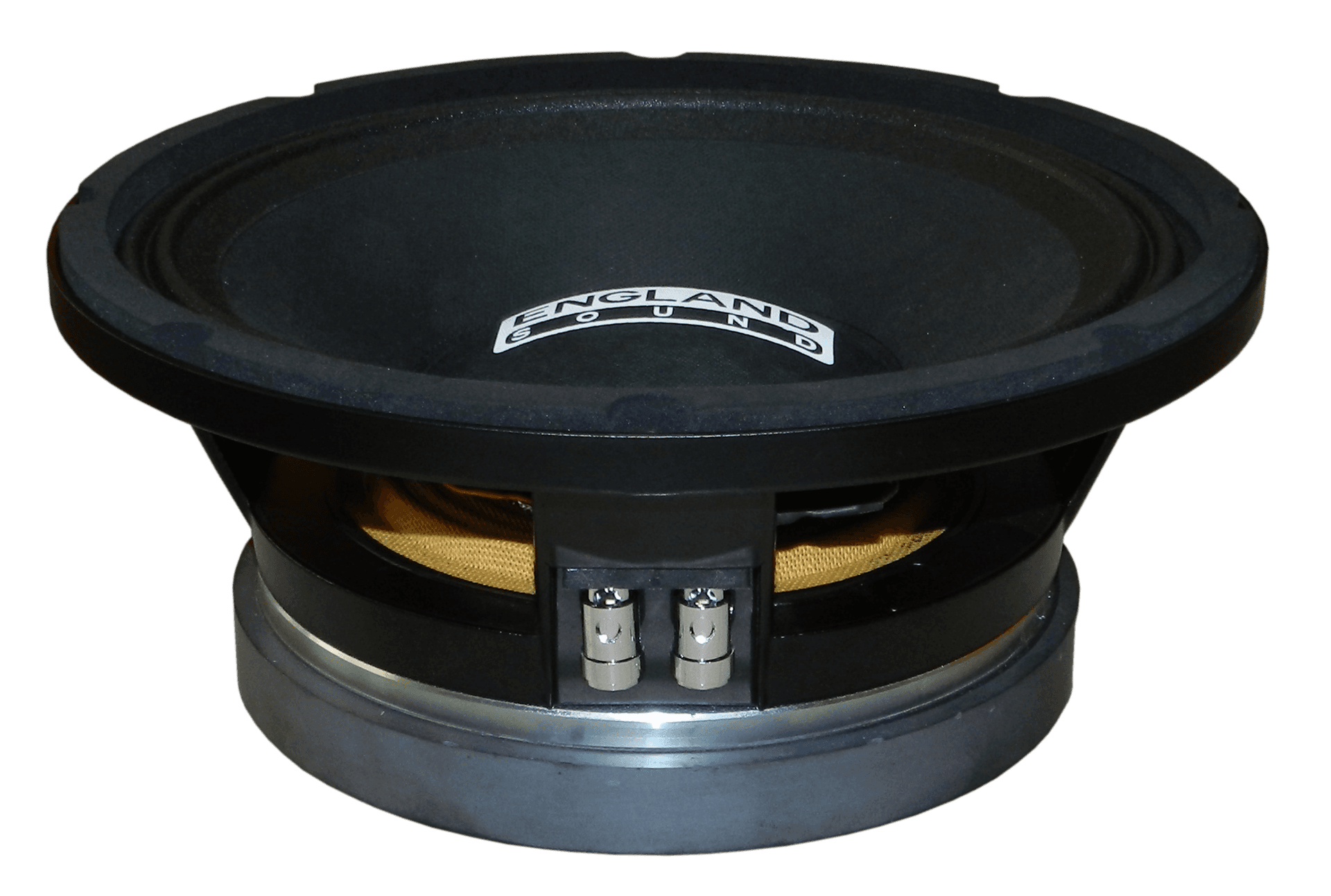 PARLANTE, 10 PULG., 500 WATTS, 8 OHM, 98DB - Miniatura 2