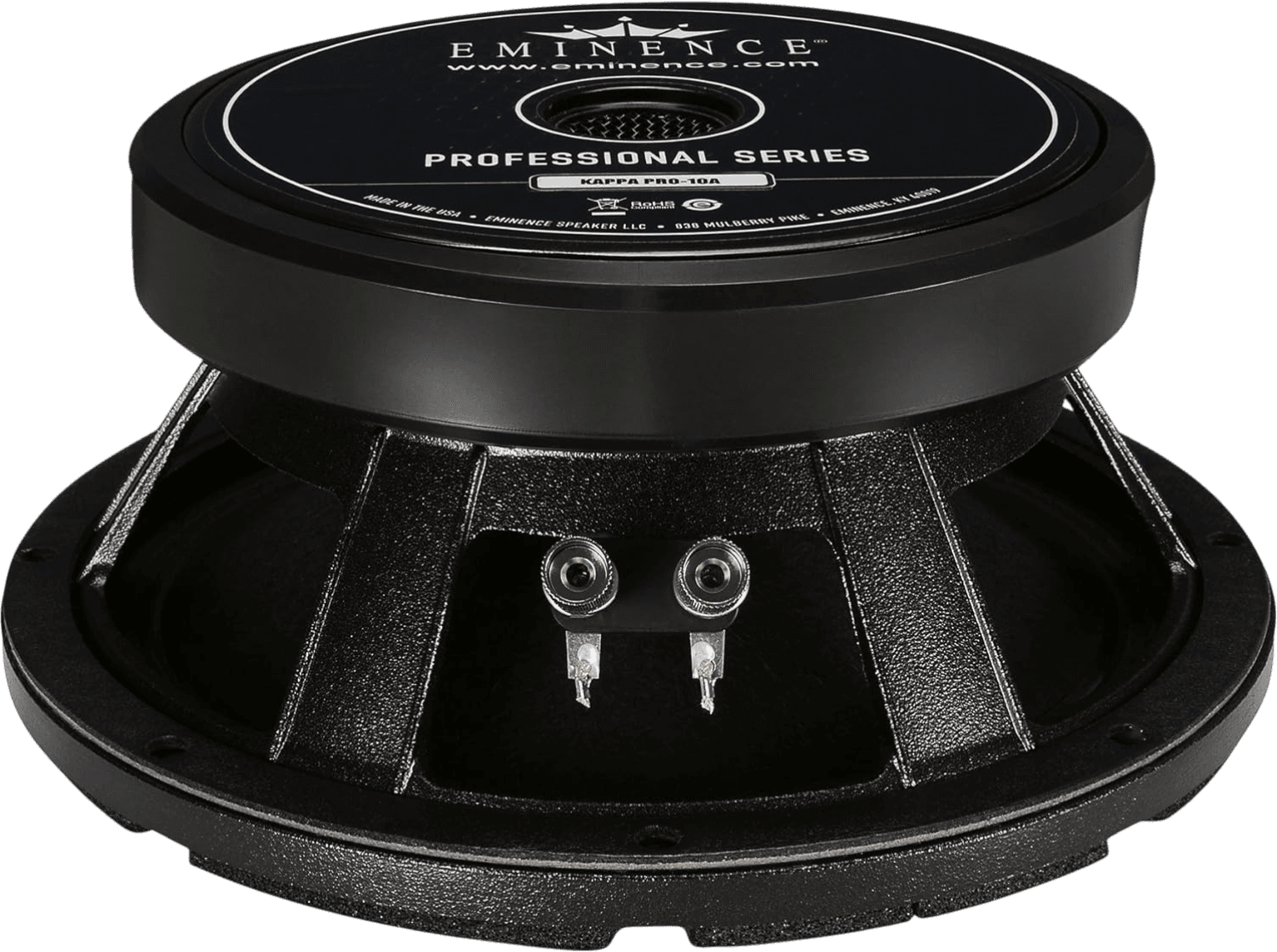 PARLANTE PROFESIONAL, 10 PULG., 500 WATTS, 8 OHM, 97DB - Miniatura 4