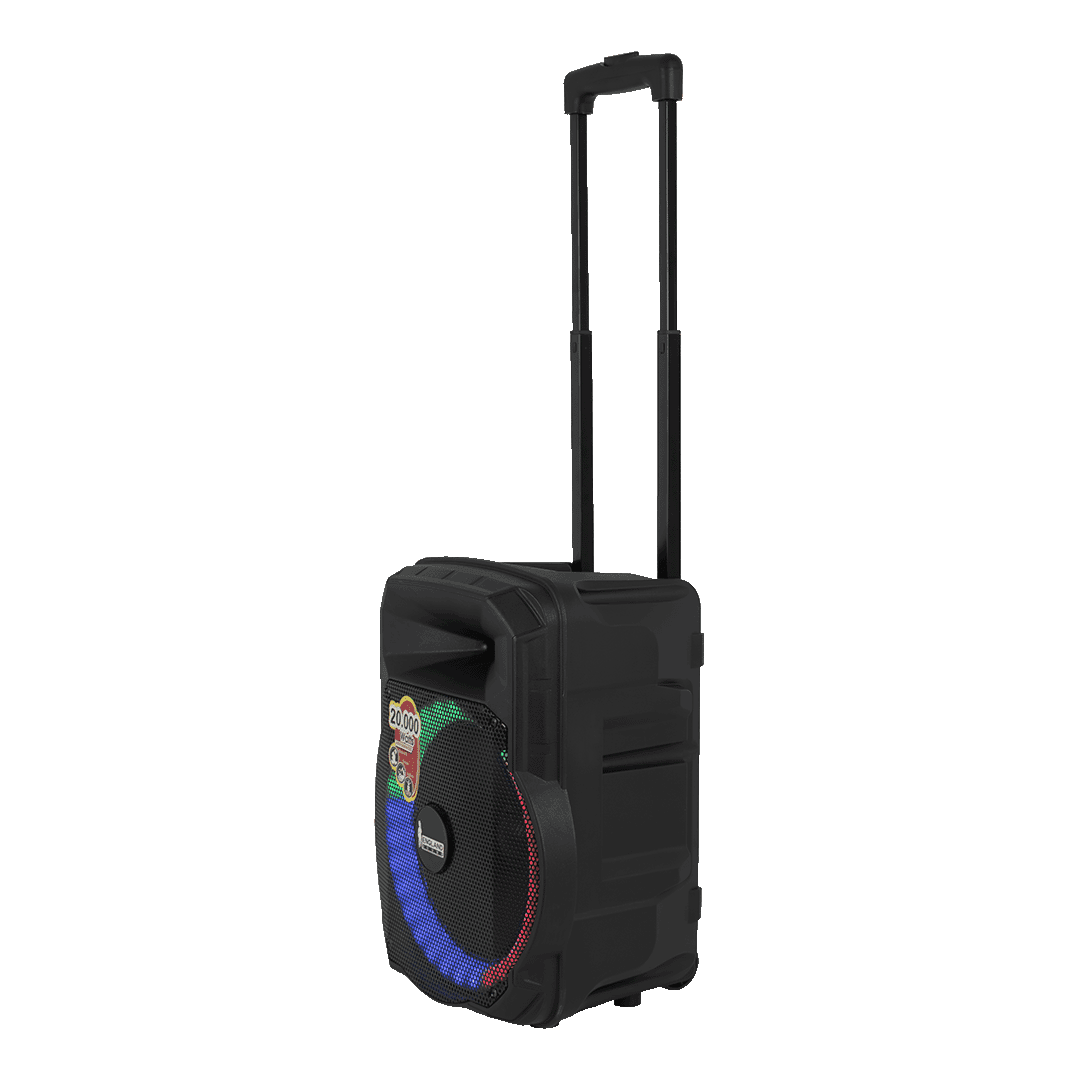 CAJA AMPLIFICADA CON BATERIA 10 PULG., 20.000W PMOP, REPRODUCTOR ANALOGICO DIGITAL, ENTRADA MIC 1/4, 3.5MM , EFECTO ECO, BASS & TREBLE, LUZ LED RGB, INCLUYE UN MICROFONO - Miniatura 4