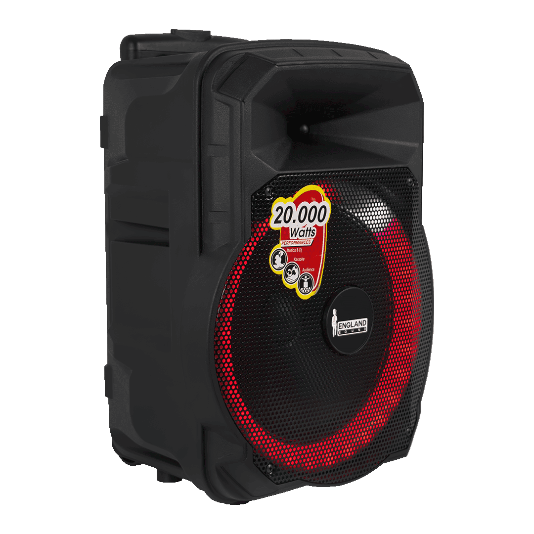 CAJA AMPLIFICADA CON BATERIA 10 PULG., 20.000W PMOP, REPRODUCTOR ANALOGICO DIGITAL, ENTRADA MIC 1/4, 3.5MM , EFECTO ECO, BASS & TREBLE, LUZ LED RGB, INCLUYE UN MICROFONO - Miniatura 5