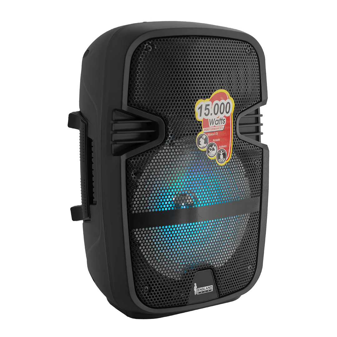 CAJA AMPLIFICADA CON BATERIA 8 PULG., 15.000W PMOP, REPRODUCTOR ANALOGICO DIGITAL, ENTRADA MIC 1/4, 3.5MM , EFECTO ECO, BASS & TREBLE, LUZ LED RGB, INCLUYE UN MICROFONO - Miniatura 4