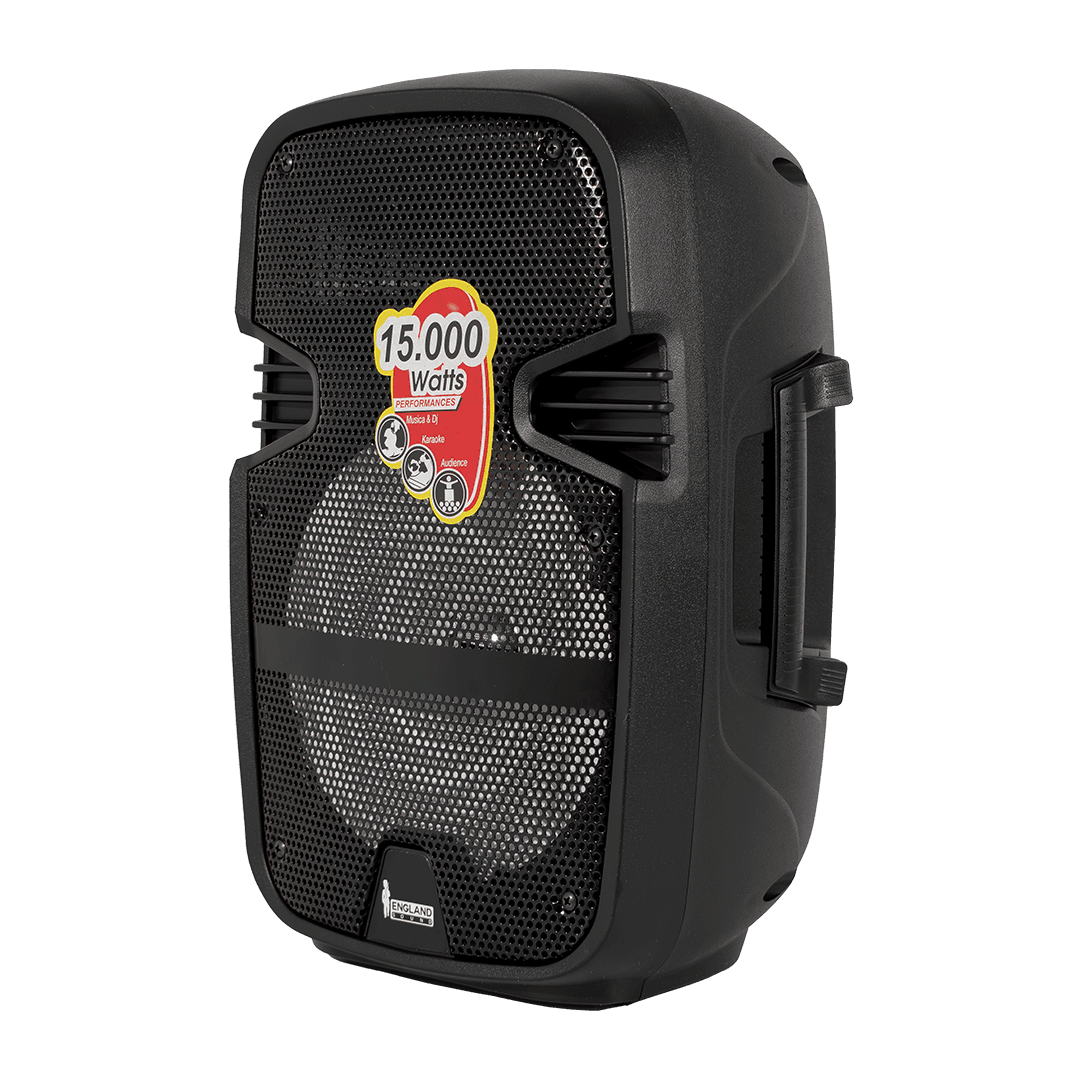 CAJA AMPLIFICADA CON BATERIA 8 PULG., 15.000W PMOP, REPRODUCTOR ANALOGICO DIGITAL, ENTRADA MIC 1/4, 3.5MM , EFECTO ECO, BASS & TREBLE, LUZ LED RGB, INCLUYE UN MICROFONO - Miniatura 5