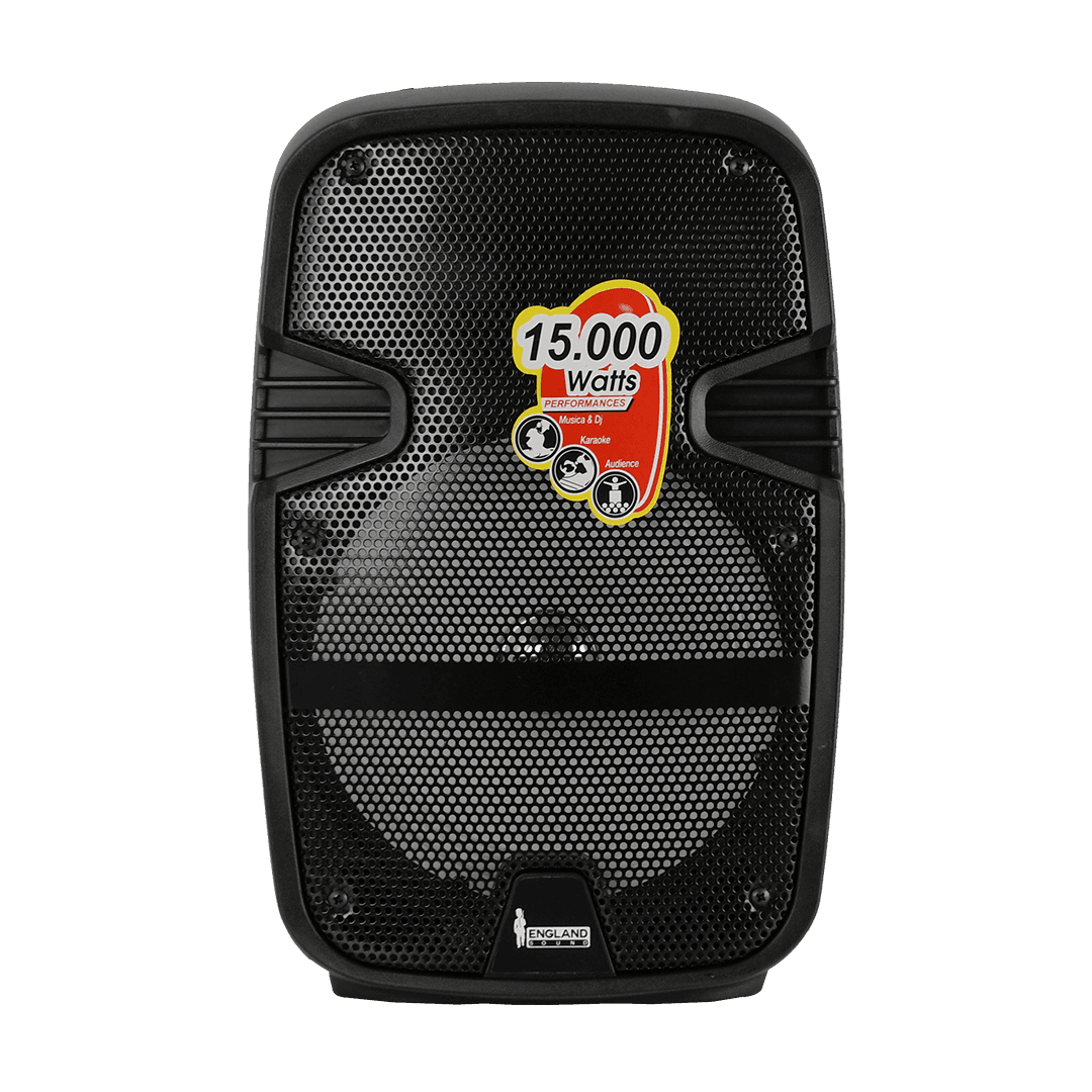 CAJA AMPLIFICADA CON BATERIA 8 PULG., 15.000W PMOP, REPRODUCTOR ANALOGICO DIGITAL, ENTRADA MIC 1/4, 3.5MM , EFECTO ECO, BASS & TREBLE, LUZ LED RGB, INCLUYE UN MICROFONO - Miniatura 8