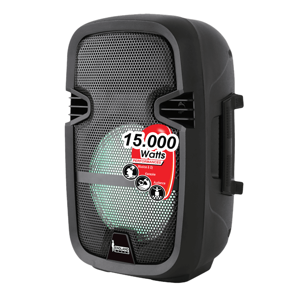 CAJA AMPLIFICADA CON BATERIA 8 PULG., 15.000W PMOP,  REPRODUCTOR ANALOGICO DIGITAL, ENTRADA MIC 1/4, 3.5MM , EFECTO ECO, BASS & TREBLE, LUZ LED RGB, INCLUYE UN MICROFONO