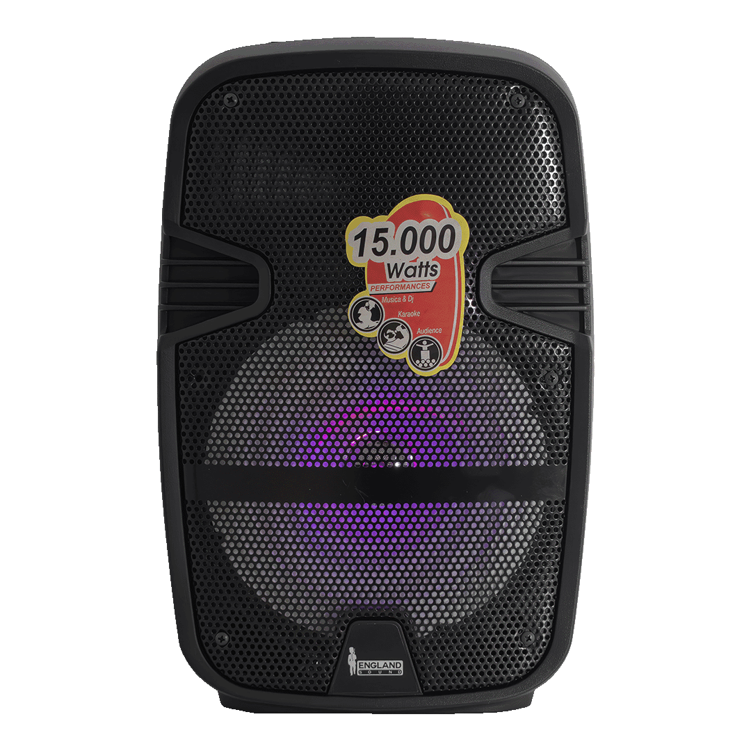 CAJA AMPLIFICADA CON BATERIA 8 PULG., 15.000W PMOP,  REPRODUCTOR ANALOGICO DIGITAL, ENTRADA MIC 1/4, 3.5MM , EFECTO ECO, BASS & TREBLE, LUZ LED RGB, INCLUYE UN MICROFONO - Miniatura 2