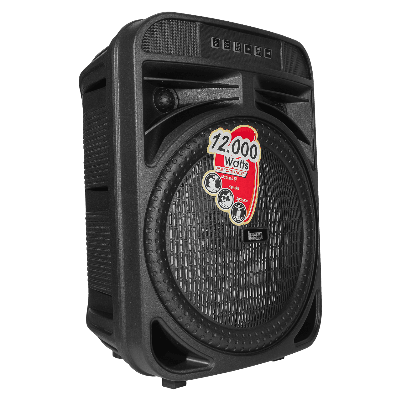 CAJA AMPLIFICADA CON BATERIA 8 PULG., 12.000W PMOP, REPRODUCTOR ANALOGICO DIGITAL, ENTRADA MIC 1/4, 3.5MM , EFECTO ECO, BASS & TREBLE, LUZ LED RGB, INCLUYE UN MICROFONO - Miniatura 5