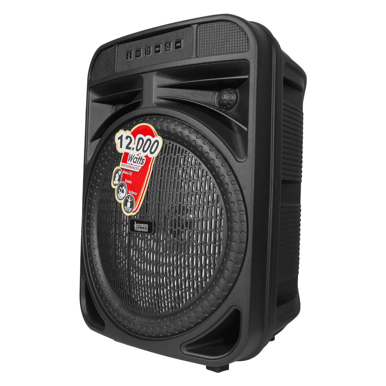 CAJA AMPLIFICADA CON BATERIA 8 PULG., 12.000W PMOP, REPRODUCTOR ANALOGICO DIGITAL, ENTRADA MIC 1/4, 3.5MM , EFECTO ECO, BASS & TREBLE, LUZ LED RGB, INCLUYE UN MICROFONO - Miniatura 6