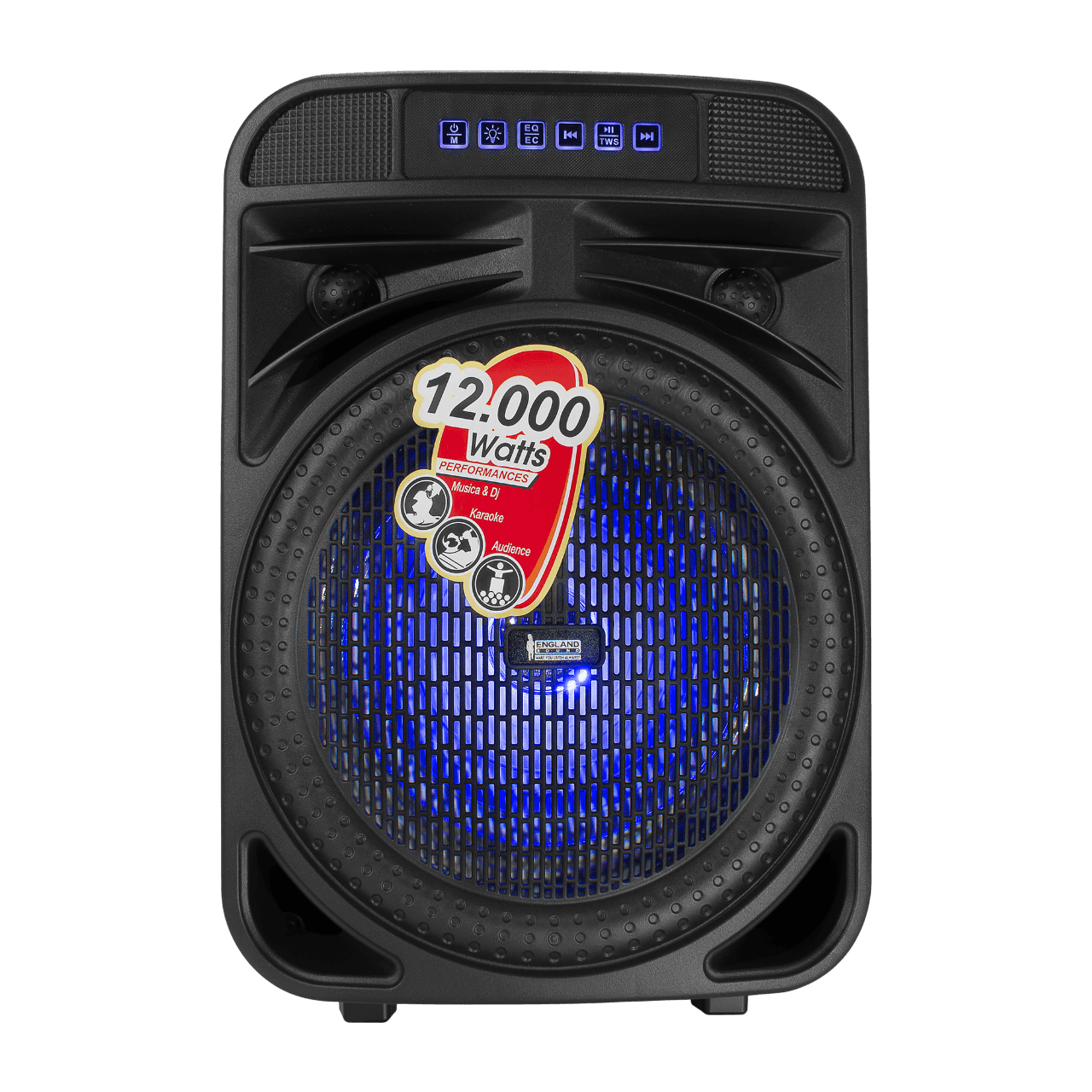 CAJA AMPLIFICADA CON BATERIA 8 PULG., 12.000W PMOP, REPRODUCTOR ANALOGICO DIGITAL, ENTRADA MIC 1/4, 3.5MM , EFECTO ECO, BASS & TREBLE, LUZ LED RGB, INCLUYE UN MICROFONO - Miniatura 2