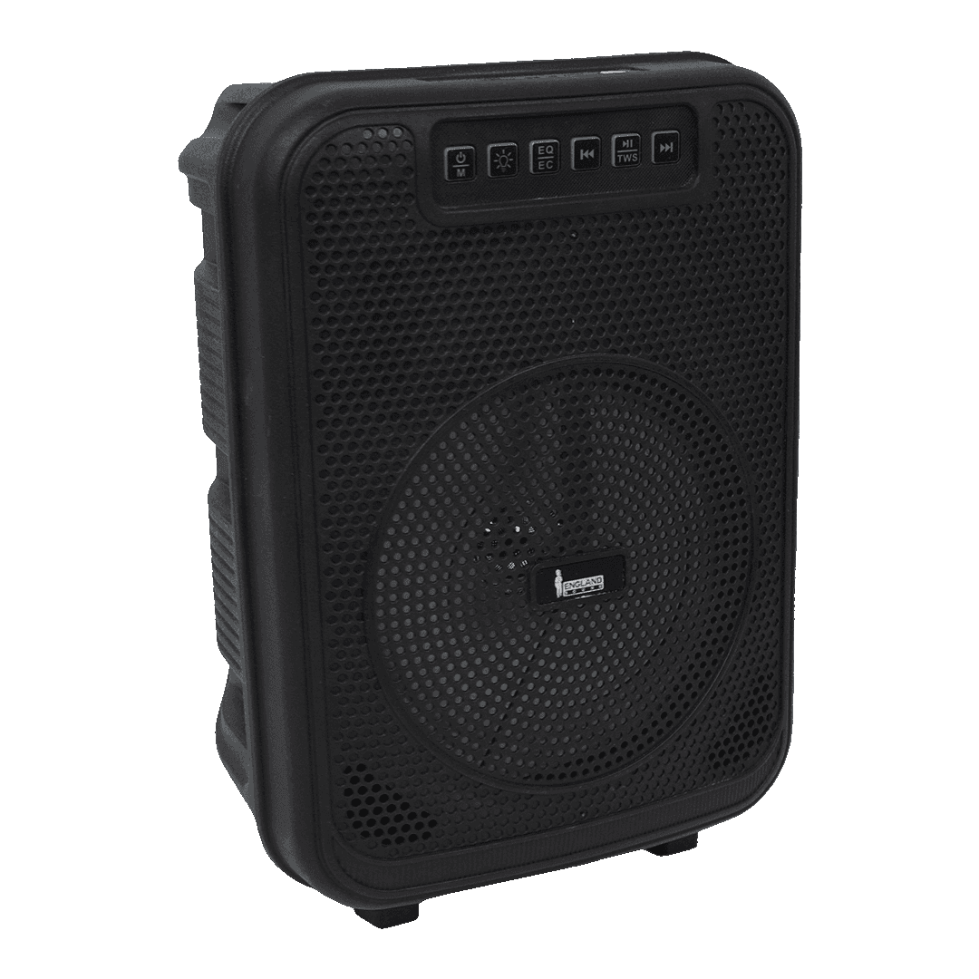 CAJA AMPLIFICADA CON BATERIA 6.5 PULG., 10.000W PMOP, REPRODUCTOR ANALOGICO DIGITAL, ENTRADA MIC 1/4, 3.5MM , EFECTO ECO, LUZ LED RGB, INCLUYE UN MICROFONO - Miniatura 3