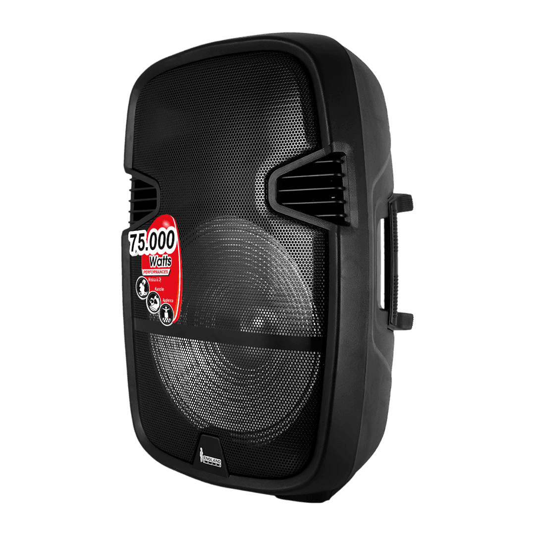 CAJA AMPLIFICADA CON BATERIA 15 PULG., 160.000W PMOP, REPRODUCTOR ANALOGICO DIGITAL, ENTRAJA JACK 1/4, 3.5MM, BASS & TREBLE, LUZ LED RGB, INCLUYE UN MICROFONO Y PEDESTAL - Miniatura 6