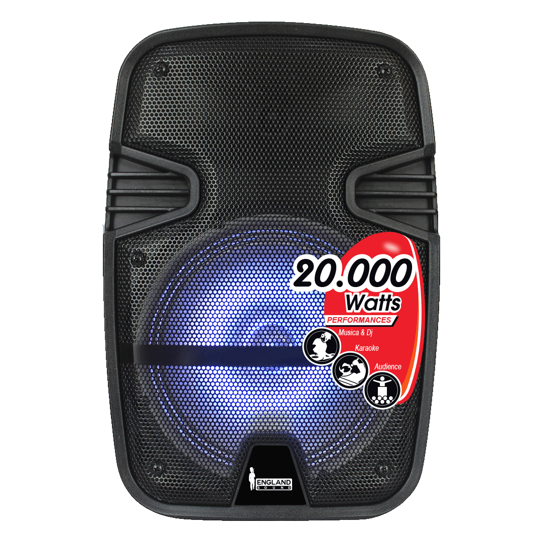 CAJA AMPLIFICADA CON BATERIA 8 PULG., 20.000W PMOP, BT, USB, MICRO SD, INCLUYE UN MICROFONO DE MANO - Miniatura 2