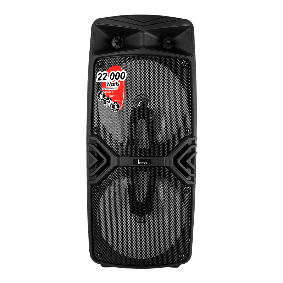 CAJA AMPLIFICADA CON BATERIA 2X8 PULG., 22.000W PMOP, REPRODUCTOR ANALOGICO DIGITAL, ENTRAJA JACK 1/4, 3.5MM, BASS & TREBLE, LUZ LED RGB, INCLUYE UN MICROFONO Y PEDESTAL - Miniatura 2