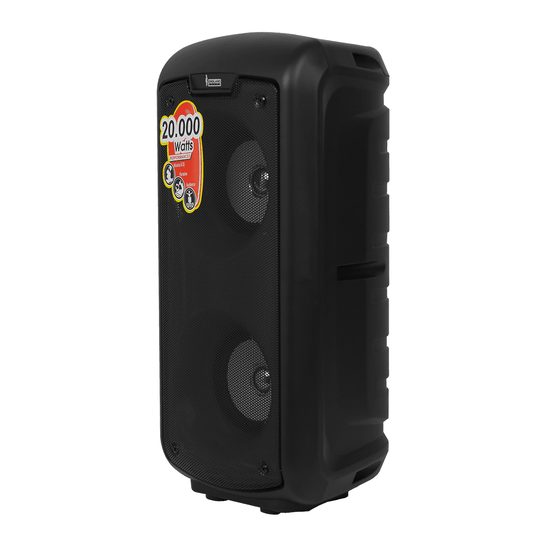 CAJA AMPLIFICADA CON BATERIA 2X4 PULG., 20.000W PMOP, REPRODUCTOR ANALOGICO DIGITAL, ENTRAJA JACK 1/4, 3.5MM, BASS & TREBLE, LUZ LED RGB, INCLUYE UN MICROFONO - Miniatura 6