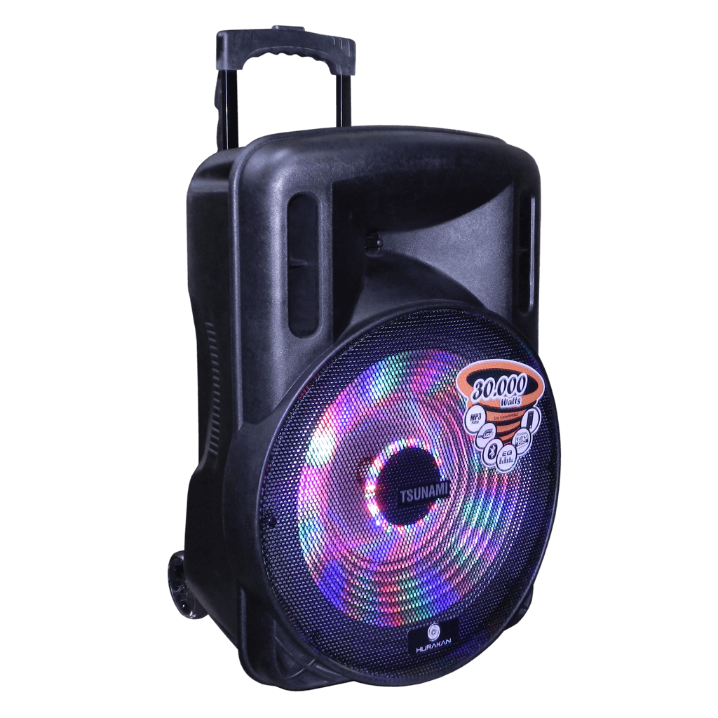 CAJA ACT. 15", 4 OHM 50 WATTS/ CON BATERIA 12V-4.5A / MP3/ USB/ SD/ PANTALLA LED/ BT/LUZ LED/ CONTROL REMOTO/ INCLUYE 2 MIC. INALAMBRICO VHF + SOPORTE