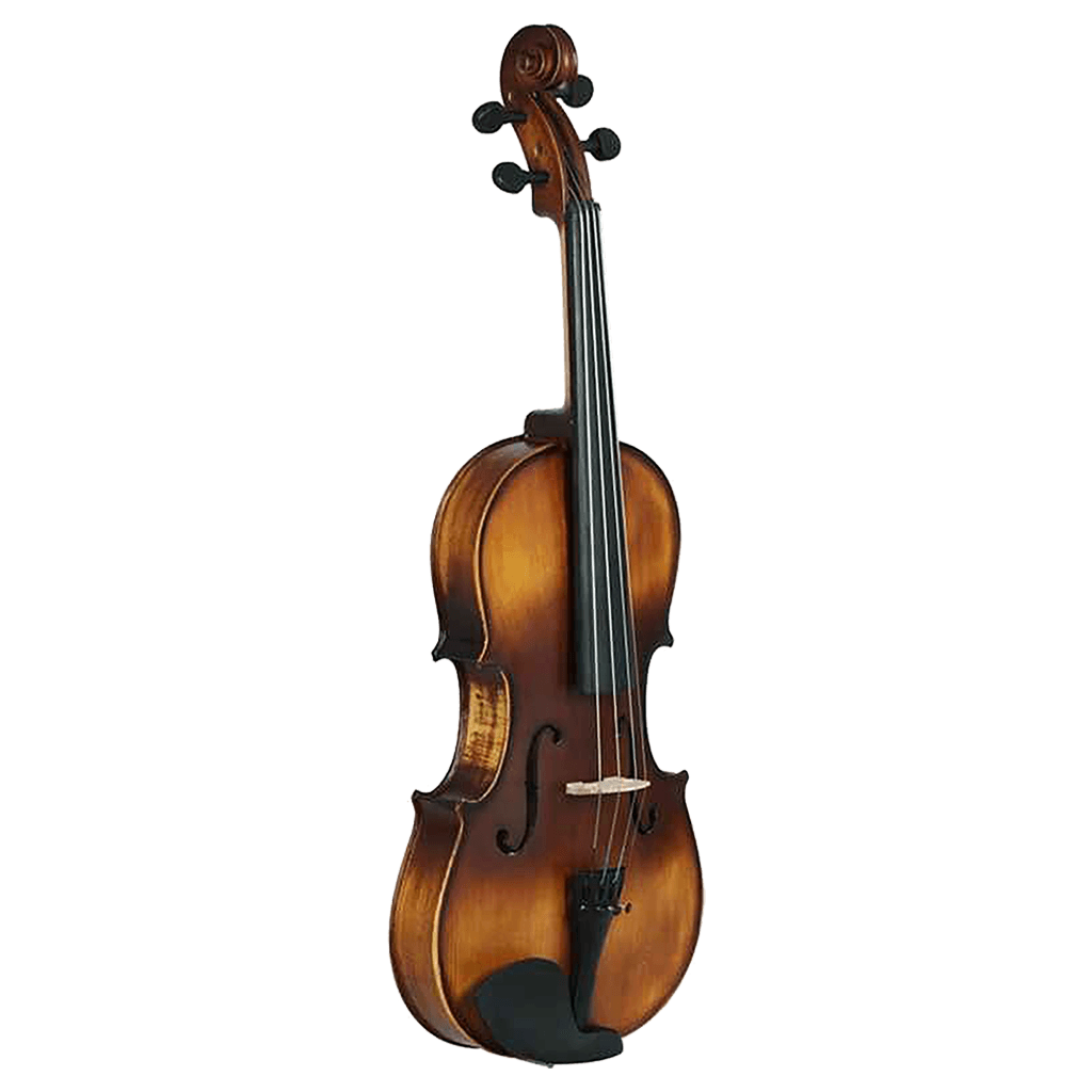 VIOLA 4/4 VINTAGE, TAPA DELANTERA Y TRASERA DE TILO, INCLUYE ESTUCHE, PERRUBIA Y ARCO