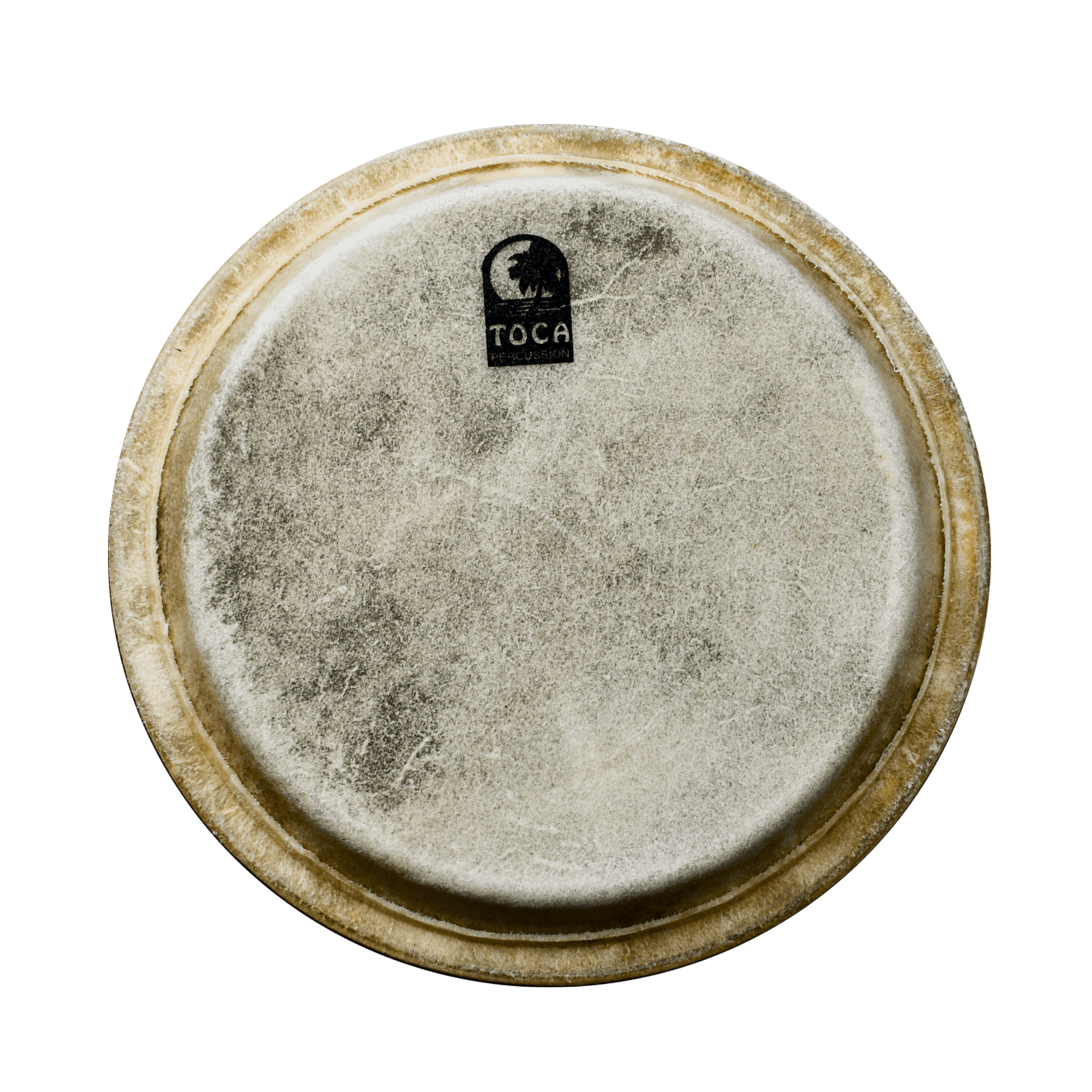 PARCHE DE CONGA 12 1/2" - Miniatura 2