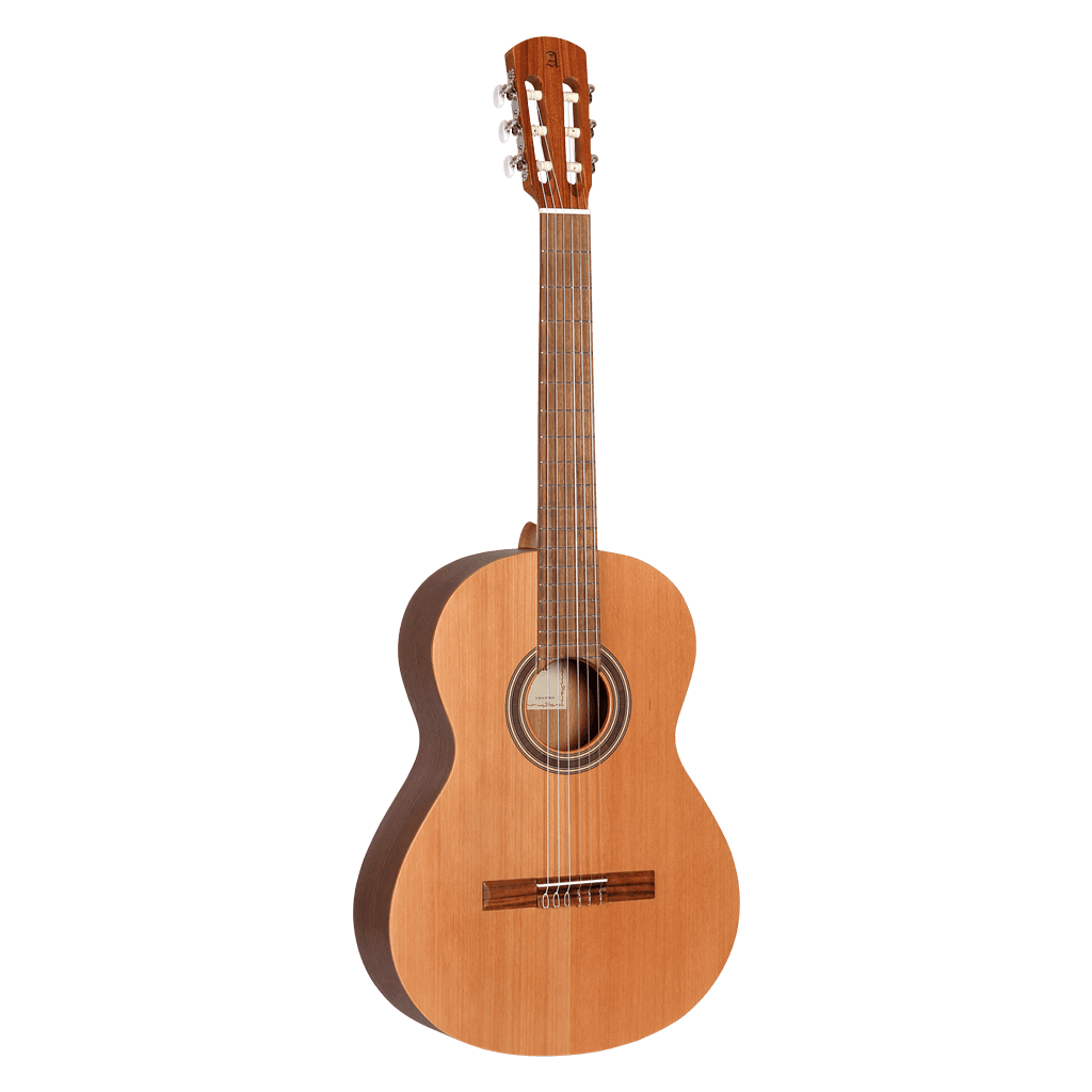 GUITARRA CLASICA 39", COLOR NATURAL, ACABADO MATE, TAPA DE CEDRO MACIZO, FONDO Y AROS DE WENGUE, CUERDAS D ADDARIO, INCLUYE ESTUCHE DE 10MM DE ESPESOR