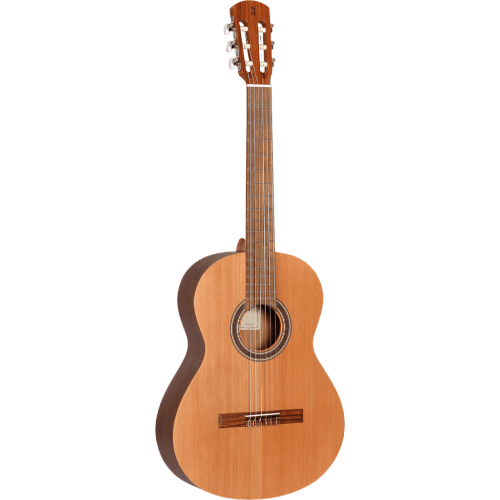 GUITARRA CLASICA 39", COLOR NATURAL, ACABADO MATE, TAPA DE CEDRO MACIZO, FONDO Y AROS DE WENGUE, CUERDAS D ADDARIO, INCLUYE ESTUCHE DE 10MM DE ESPESOR - Miniatura 2