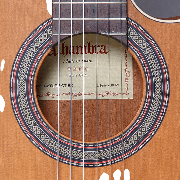 GUITARRA ELECTROCLASICA 39", CUTAWAY, CON EQ FISHMAN, COLOR NATURAL ACABADO MATE, TAPA DE CEDRO MACIZO, FONDO Y AROS DE WENGUE, CUERDAS D ADDARIO, INCLUYE BOLSO DE 10MM DE ESPESOR - Miniatura 4