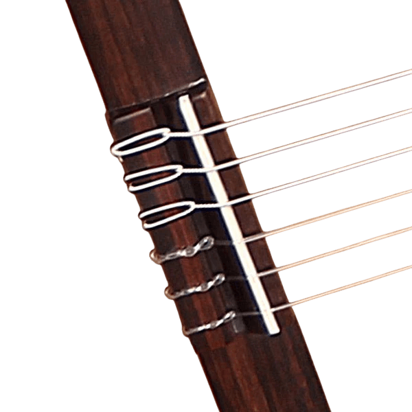 GUITARRA ELECTROCLASICA 39", CUTAWAY, CON EQ FISHMAN, COLOR NATURAL ACABADO MATE, TAPA DE CEDRO MACIZO, FONDO Y AROS DE WENGUE, CUERDAS D ADDARIO, INCLUYE BOLSO DE 10MM DE ESPESOR - Miniatura 6