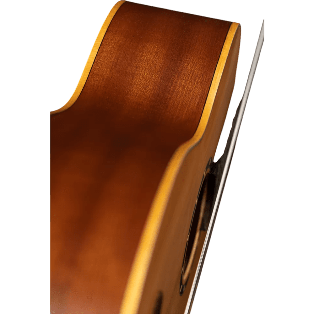 GUITARRA CLASICA 39", COLOR NATURAL, ACABADO MATE, TAPA DE CEDRO, FONDO Y AROS DE CAOBA, CUERDAS ORTEGA - Miniatura 6