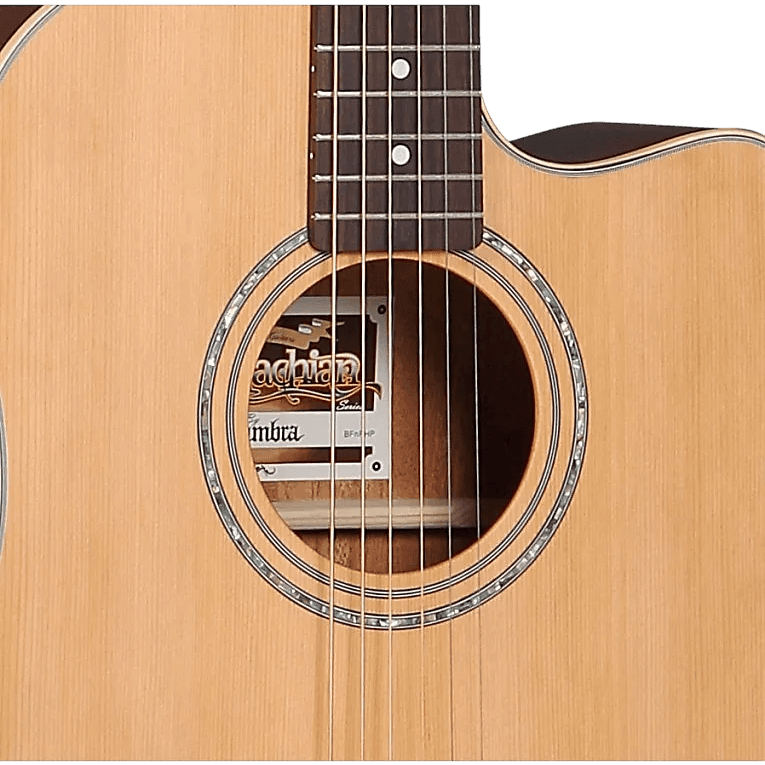 GUITARRA ACUSTICA 41", CUTAWAY, COLOR NATURAL, ACABADO DE ALTO BRILLO, TAPA DE CEDRO MACIZO, FONDO Y AROS DE SAPELLI, CUERDAS D ADDARIO,  INCLUYE BOLSO DE 10MM DE ESPESOR - Miniatura 5