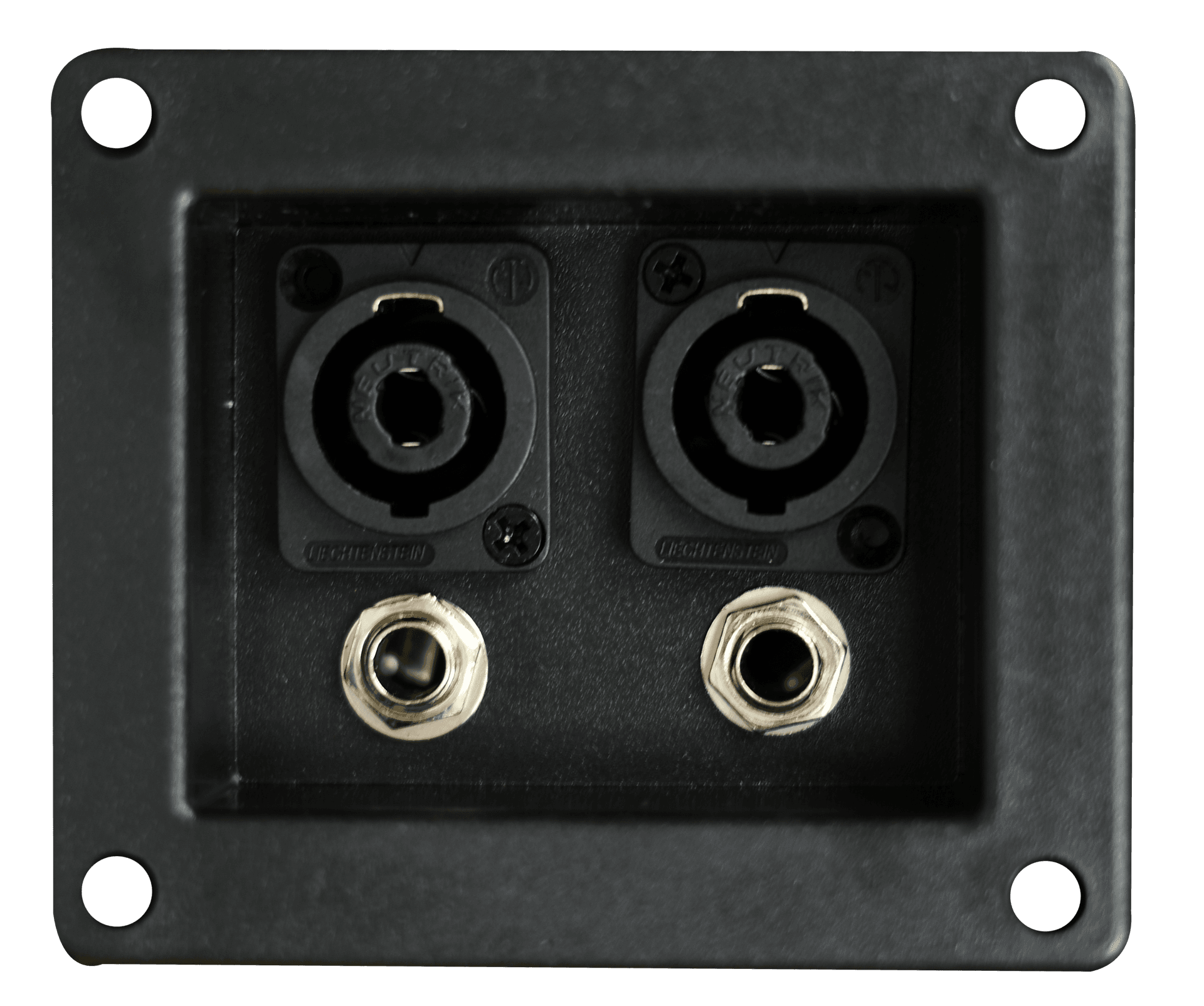 TERMINALES PARA CAJAS ACUSTICA 2 JACK 6.3MM Y 2 JACK SPEAKON, 10 X 8.5 CM